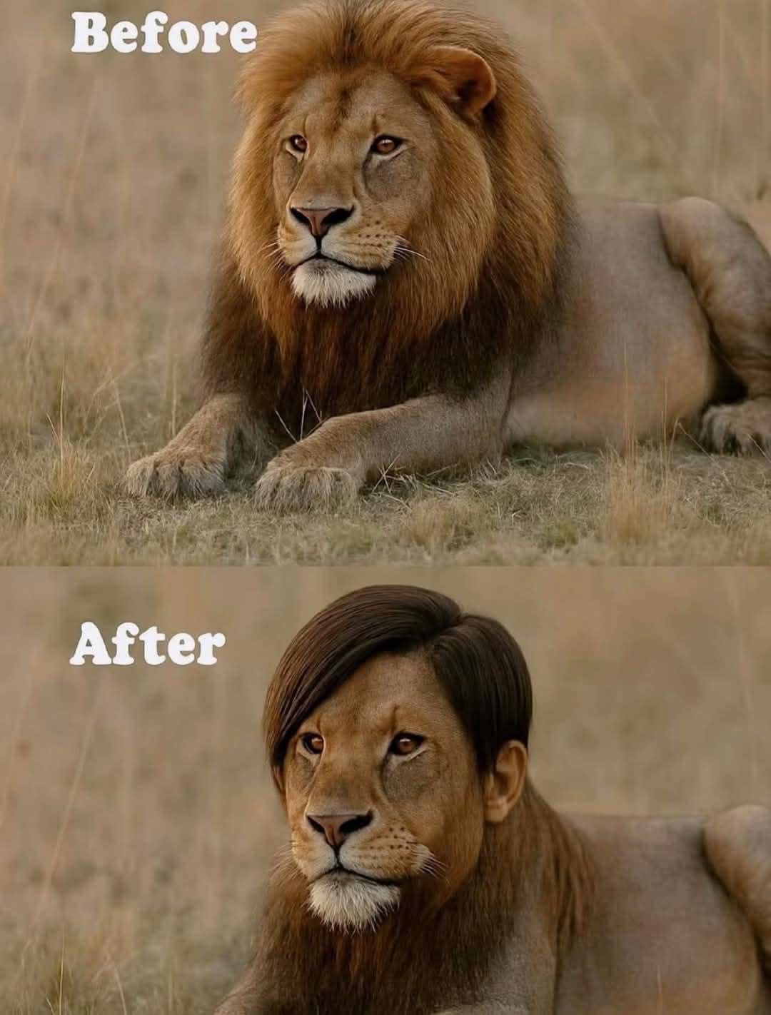Victor's Hair Salon