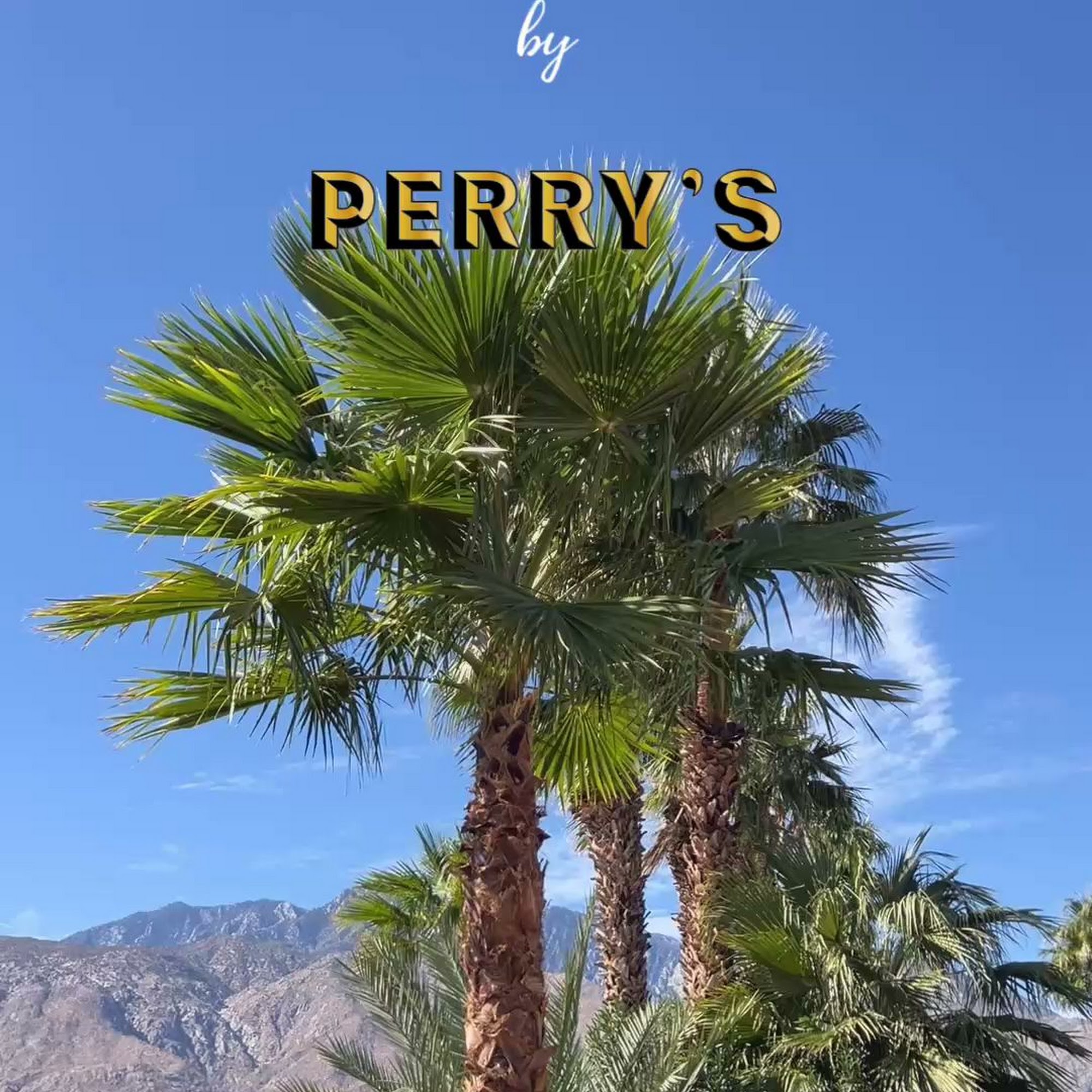 Perry's Fine Wines & Liquors - Palm Springs Palm Springs