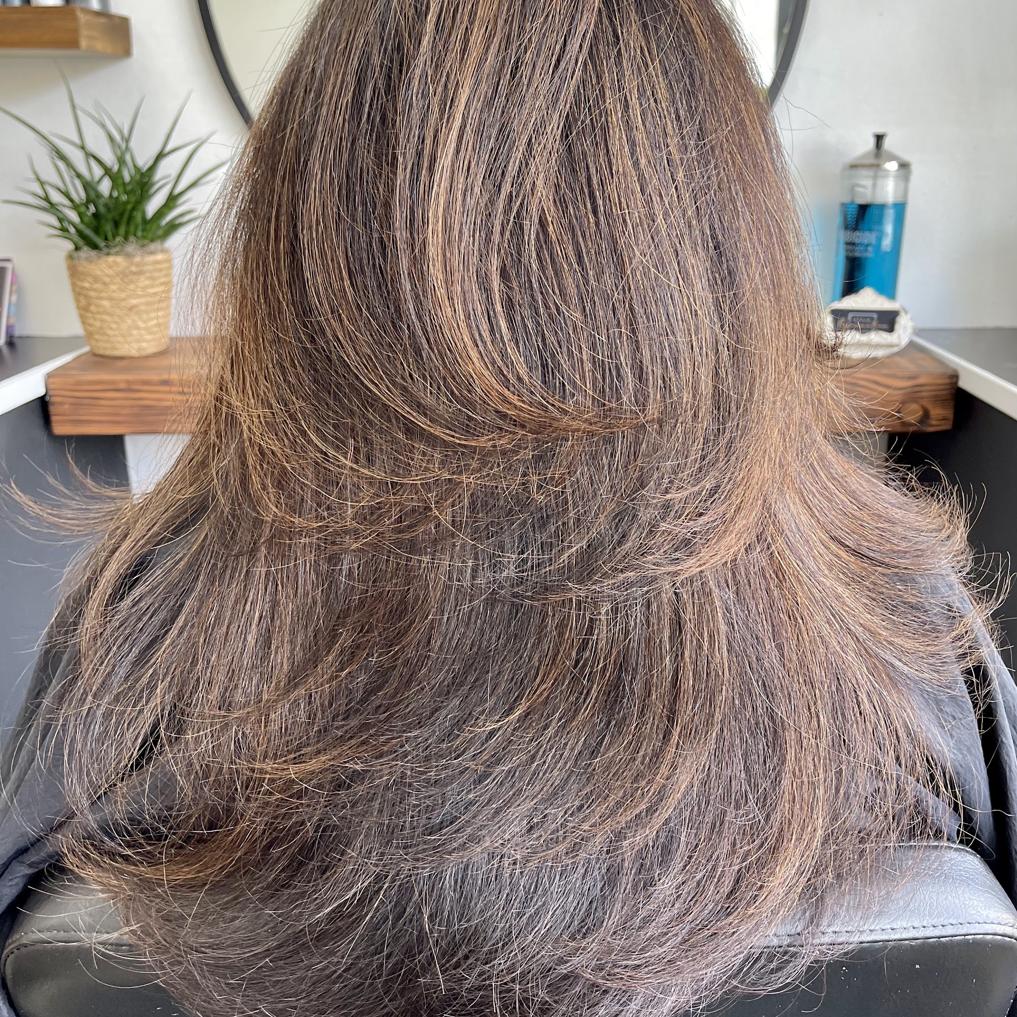 Style Reformation Salon