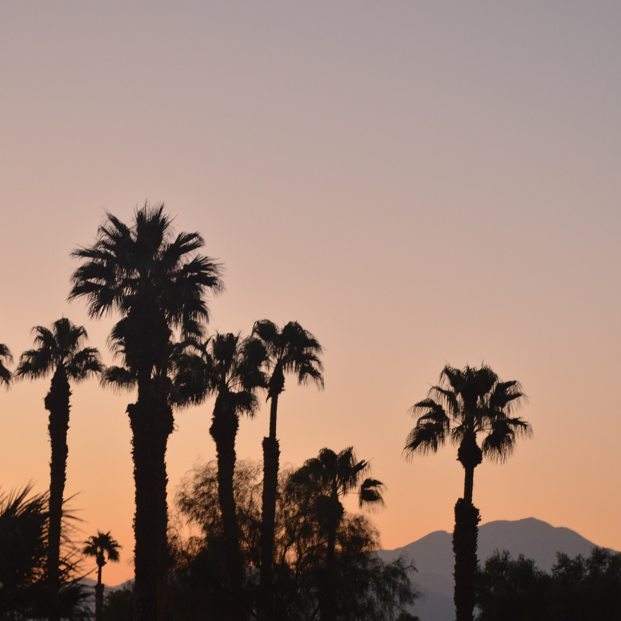 Debra Zanini Skin Care and Waxing