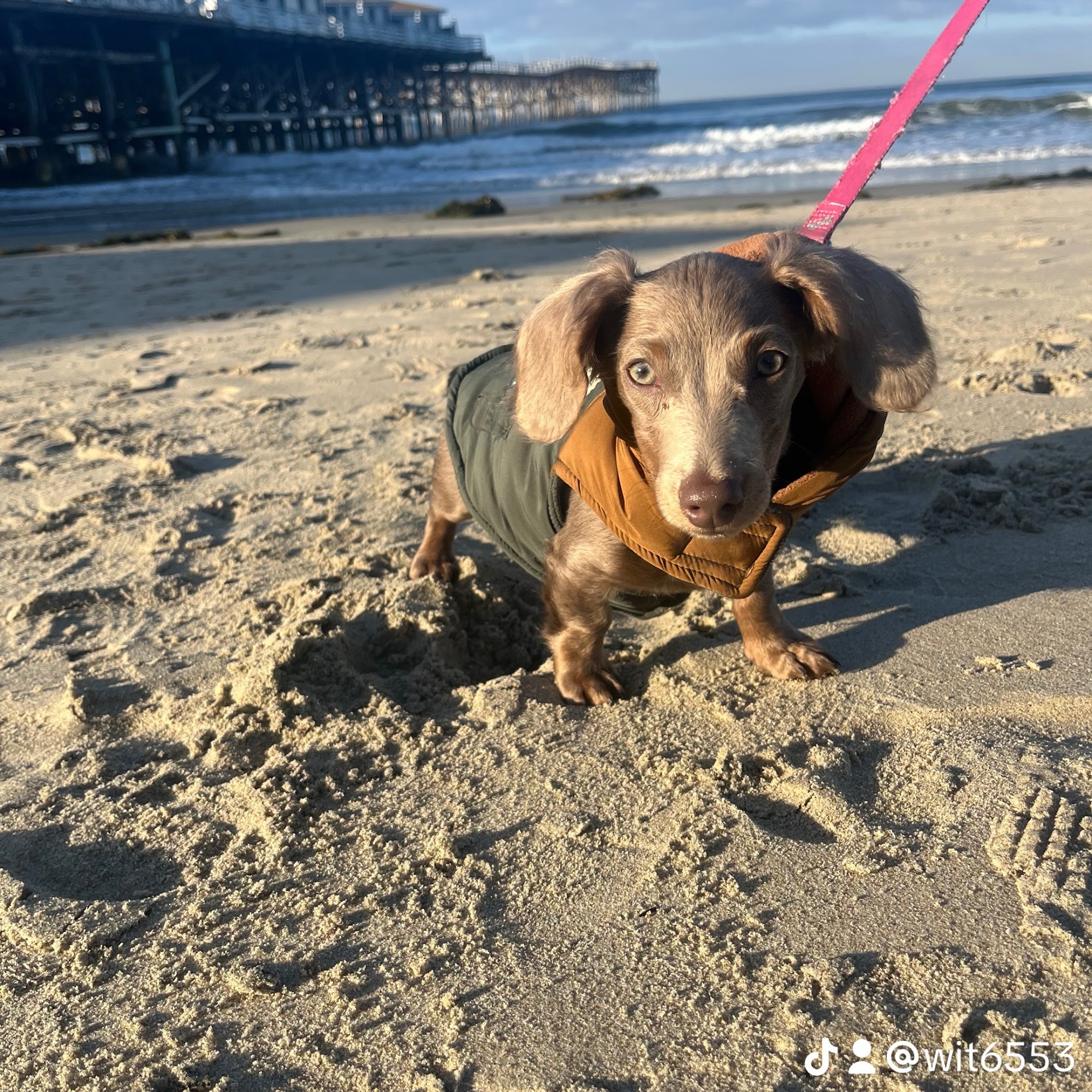 bean goods Palm Springs