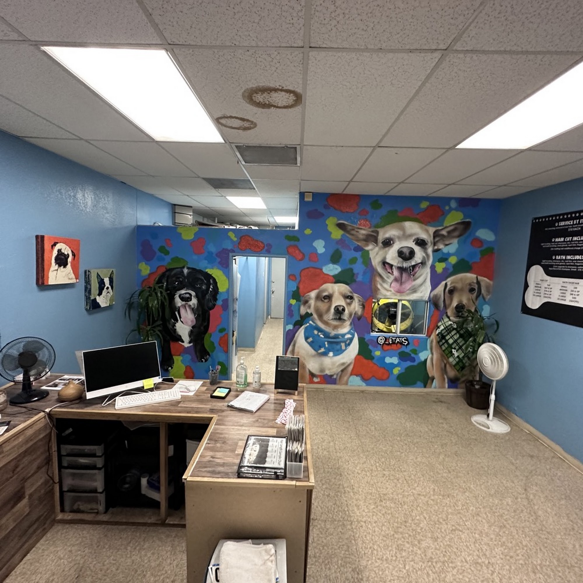 Pets In Style Grooming Palmdale