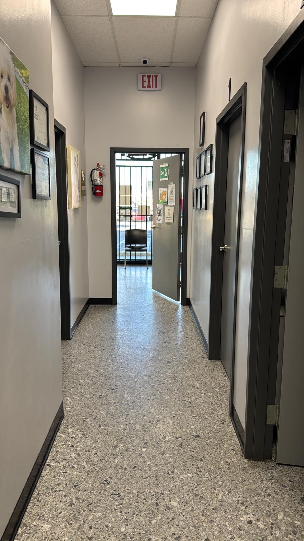 Animal Medical Center of The Antelope Valley Palmdale