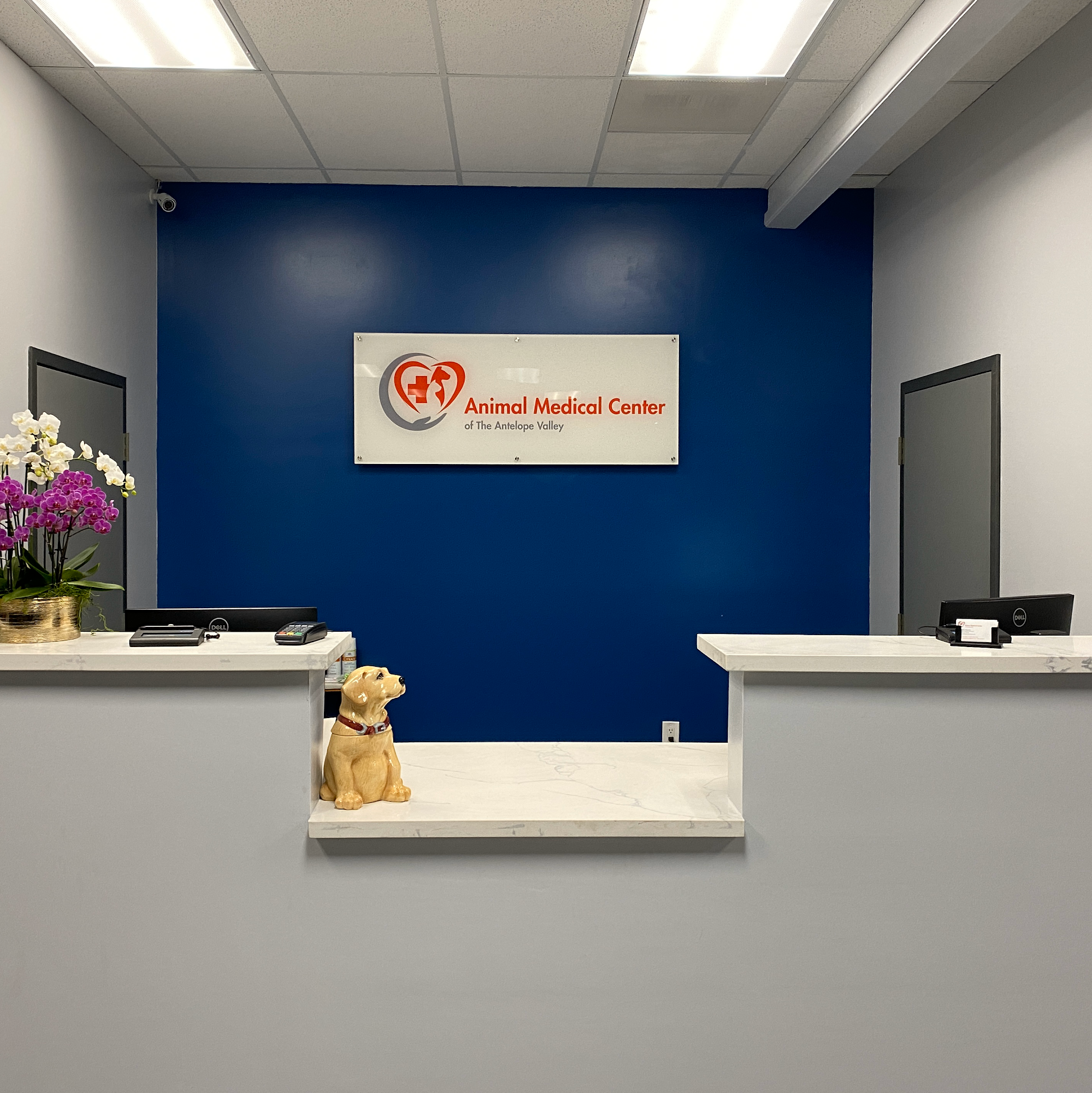 Animal Medical Center of The Antelope Valley Palmdale