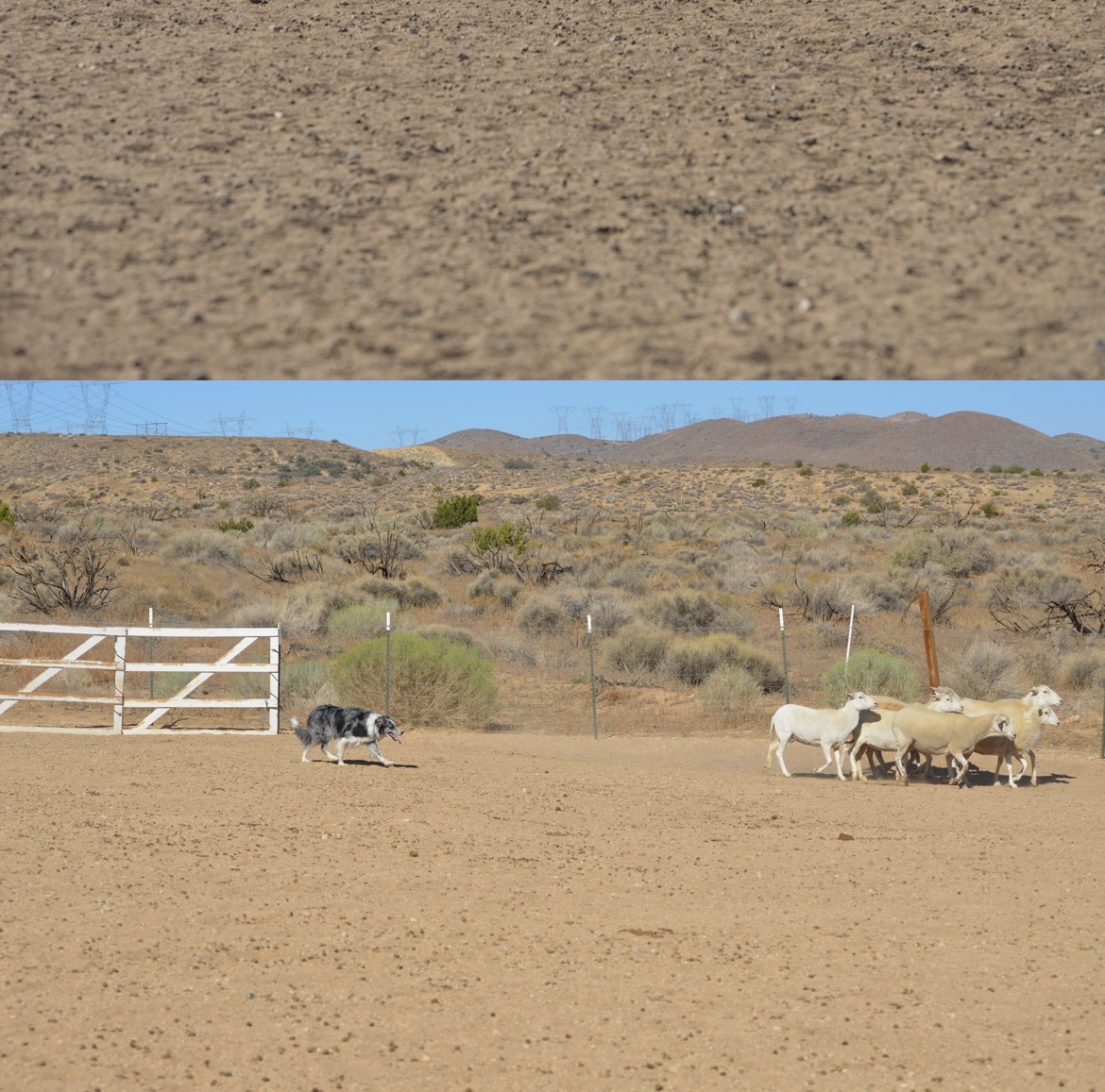 Drummond Ranch Inc. Palmdale