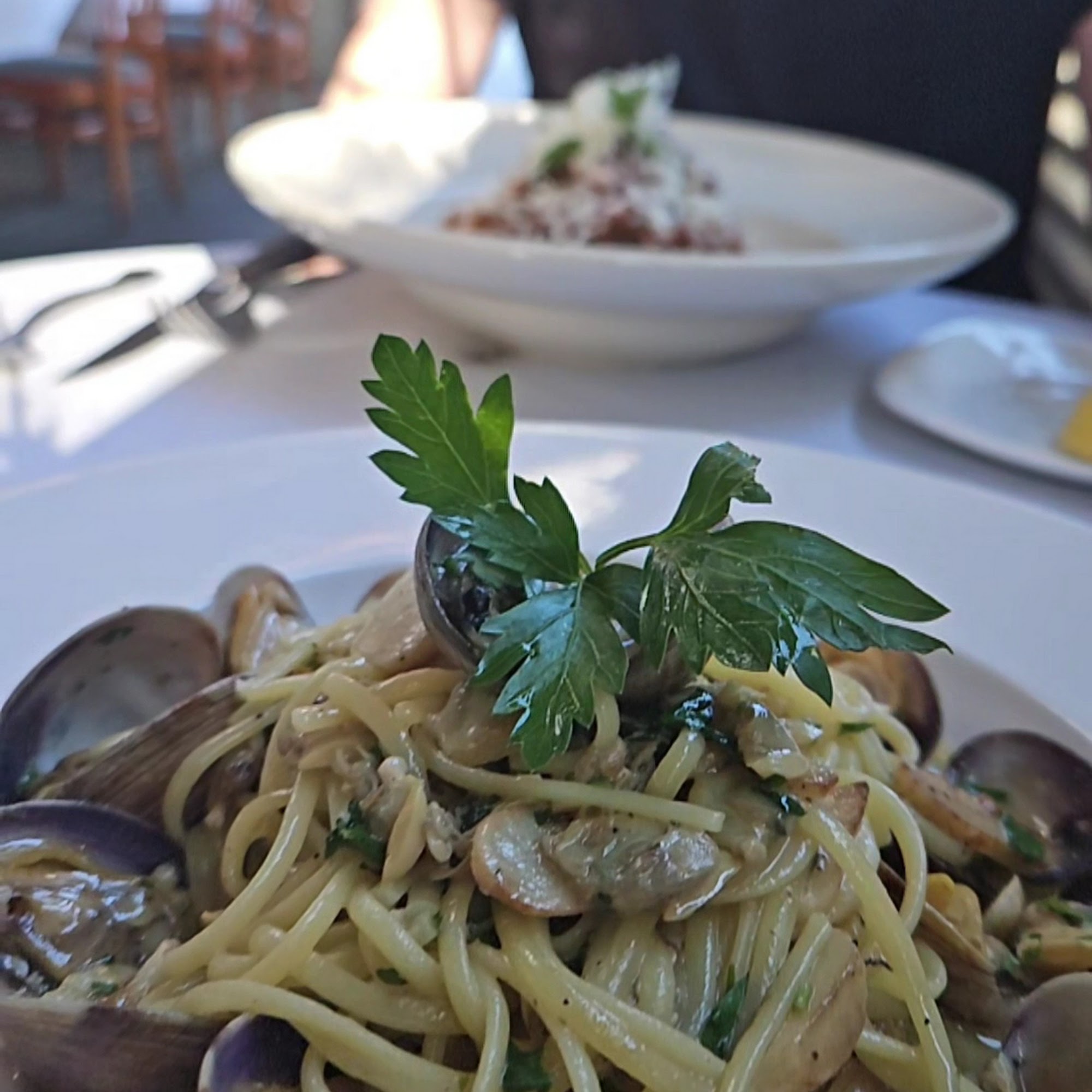 Cafe Pro Bono Palo Alto