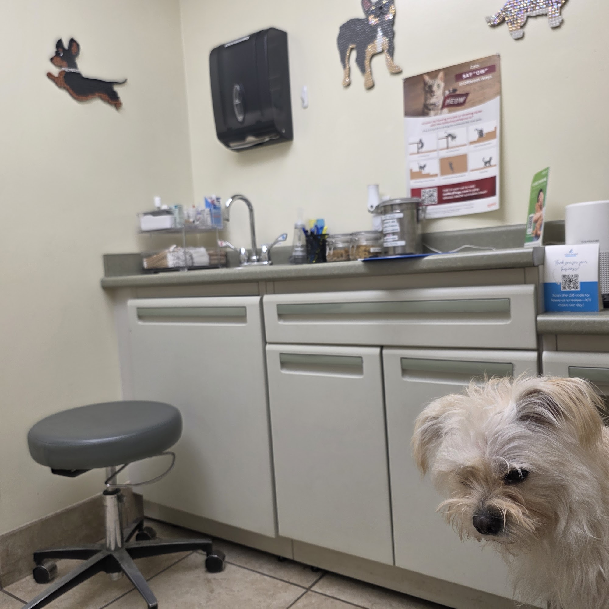 Animal Hospital of Palo Alto Palo Alto