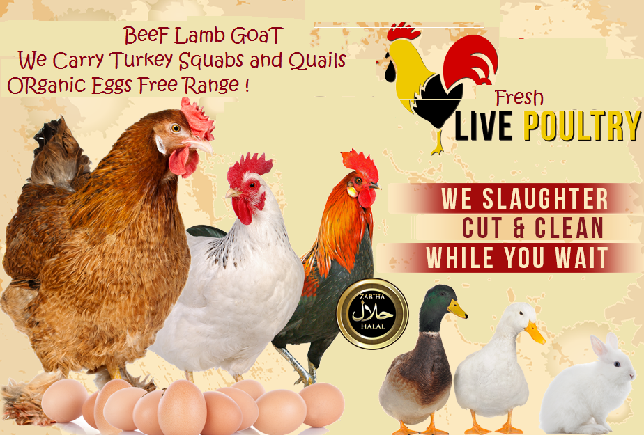 Van Nuys Live & Fresh Poultry Menu