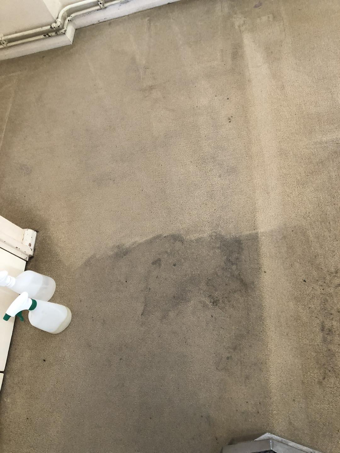 Sparkle Carpet & Upholstery