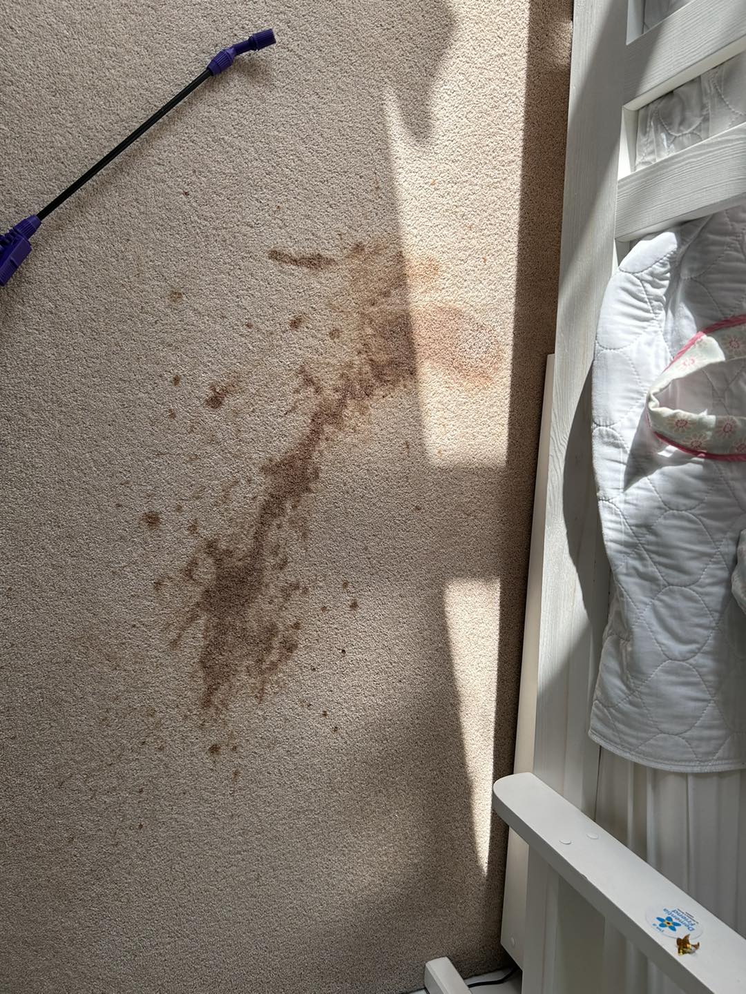 Sparkle Carpet & Upholstery