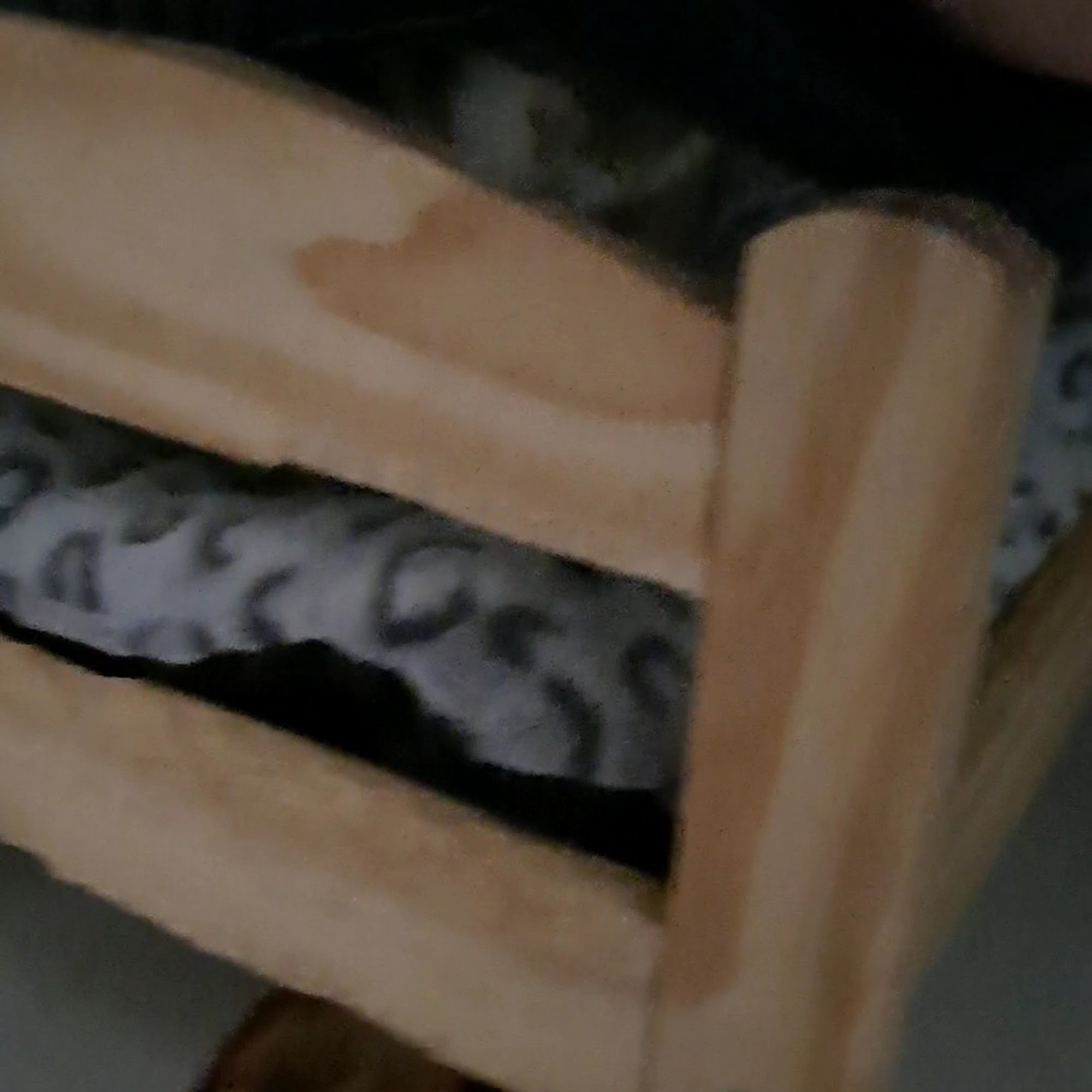 Rabbit Rescue Inc Paramount