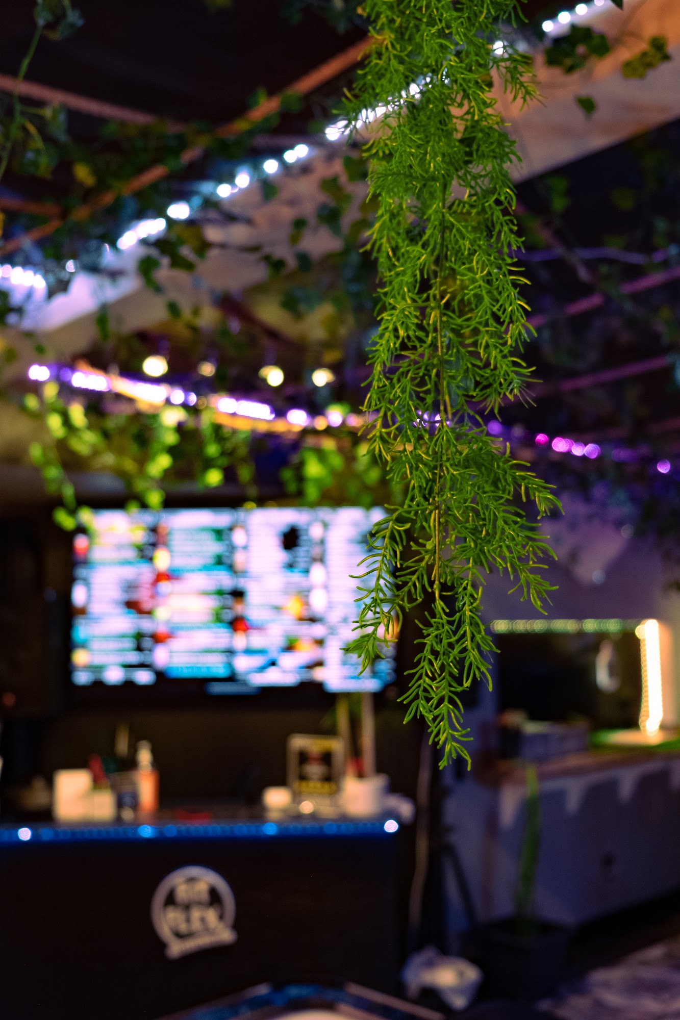 Fit Flex Protein House Paramount