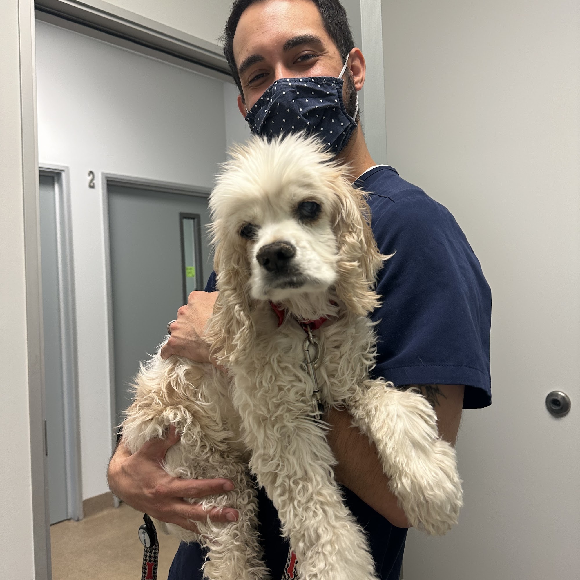 Animal Dermatology Clinic Pasadena