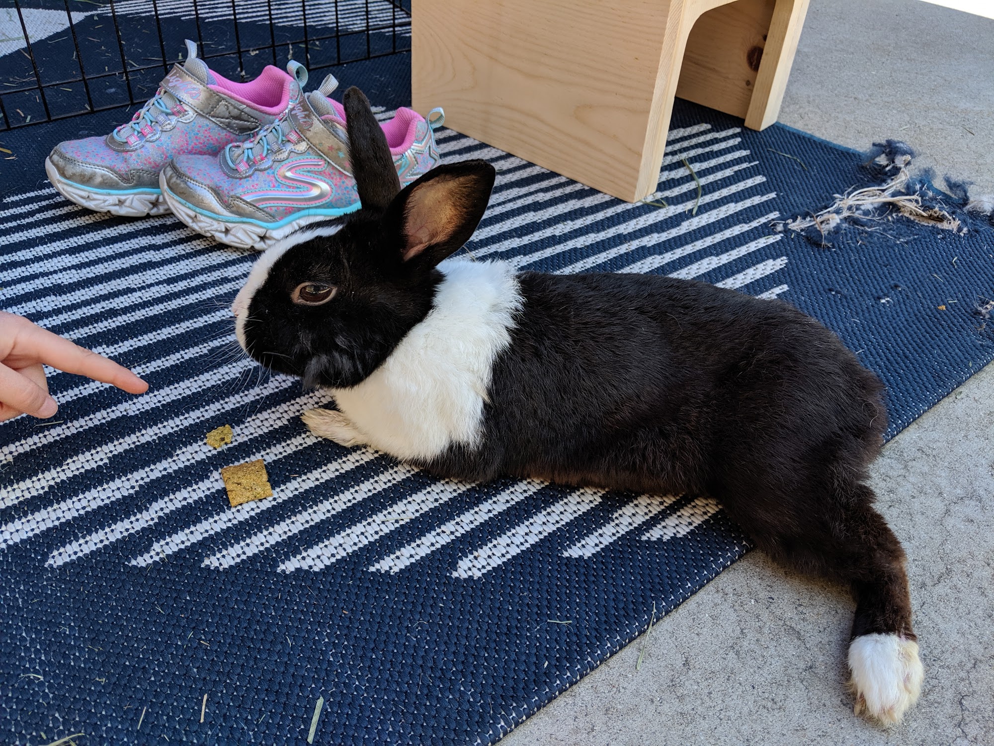 Exotic Animal Veterinary Center Pasadena