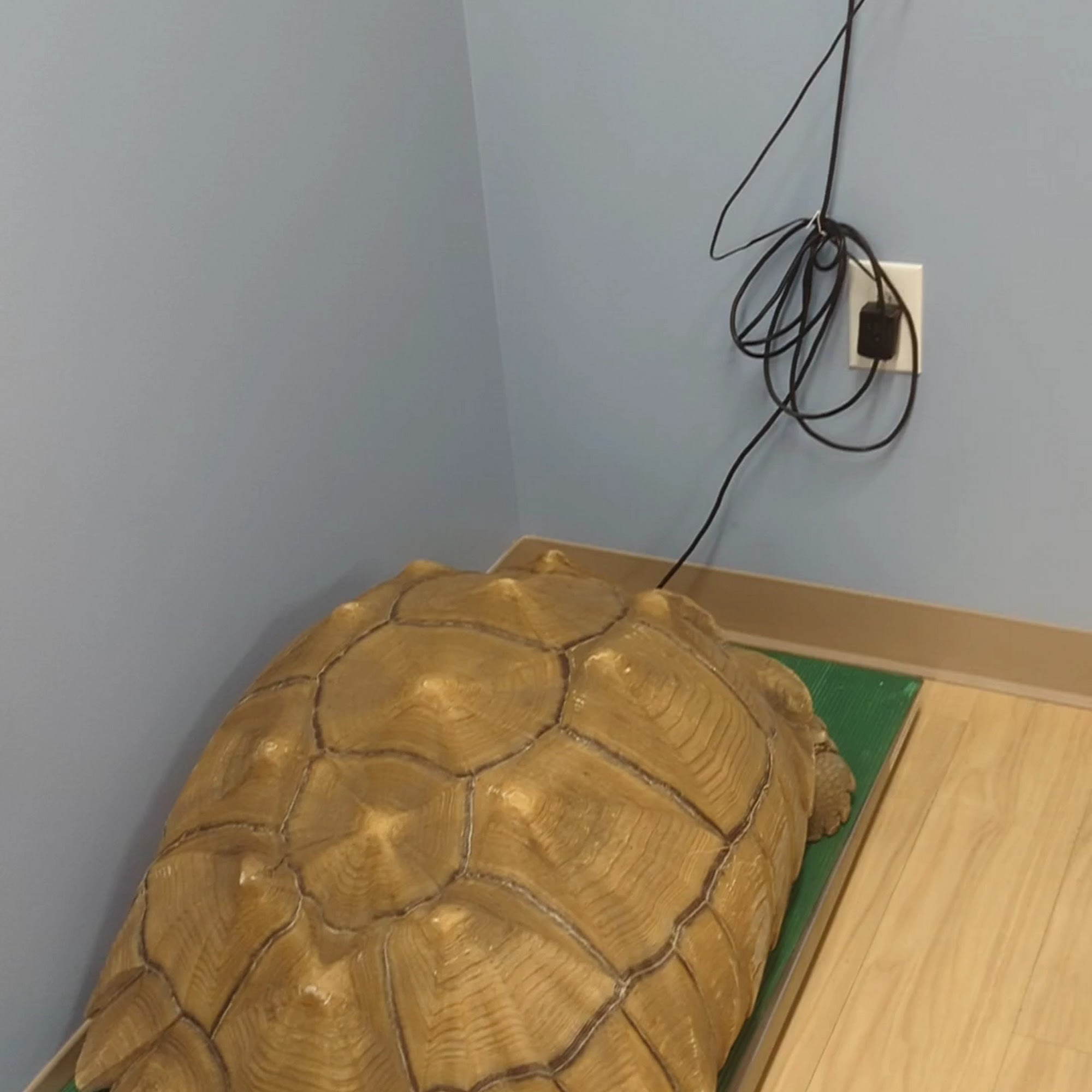 Exotic Animal Veterinary Center Pasadena