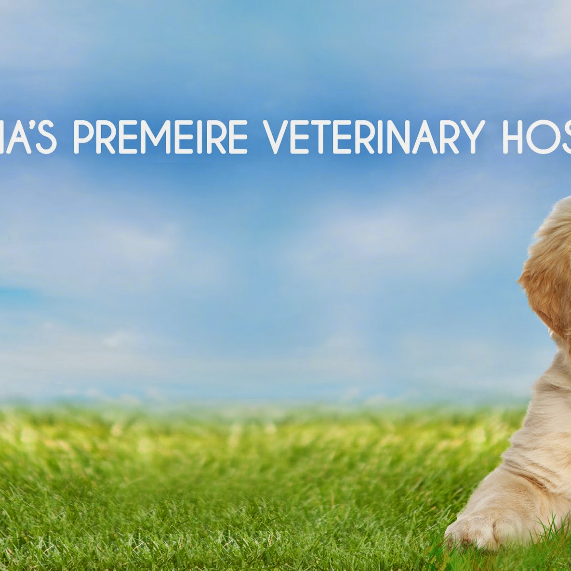 Rose City Veterinary Hospital Pasadena