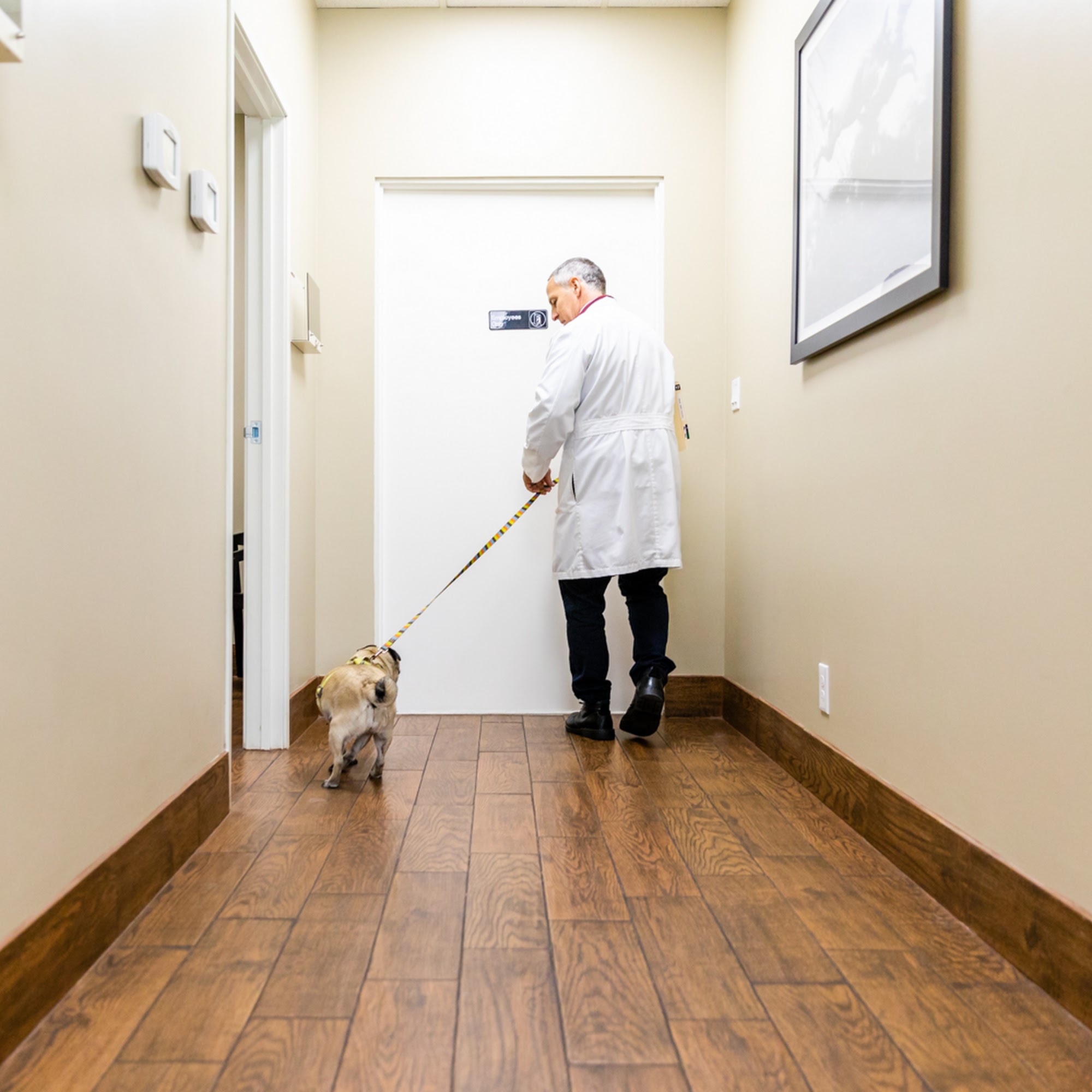 Sierra Madre Animal Hospital Pasadena