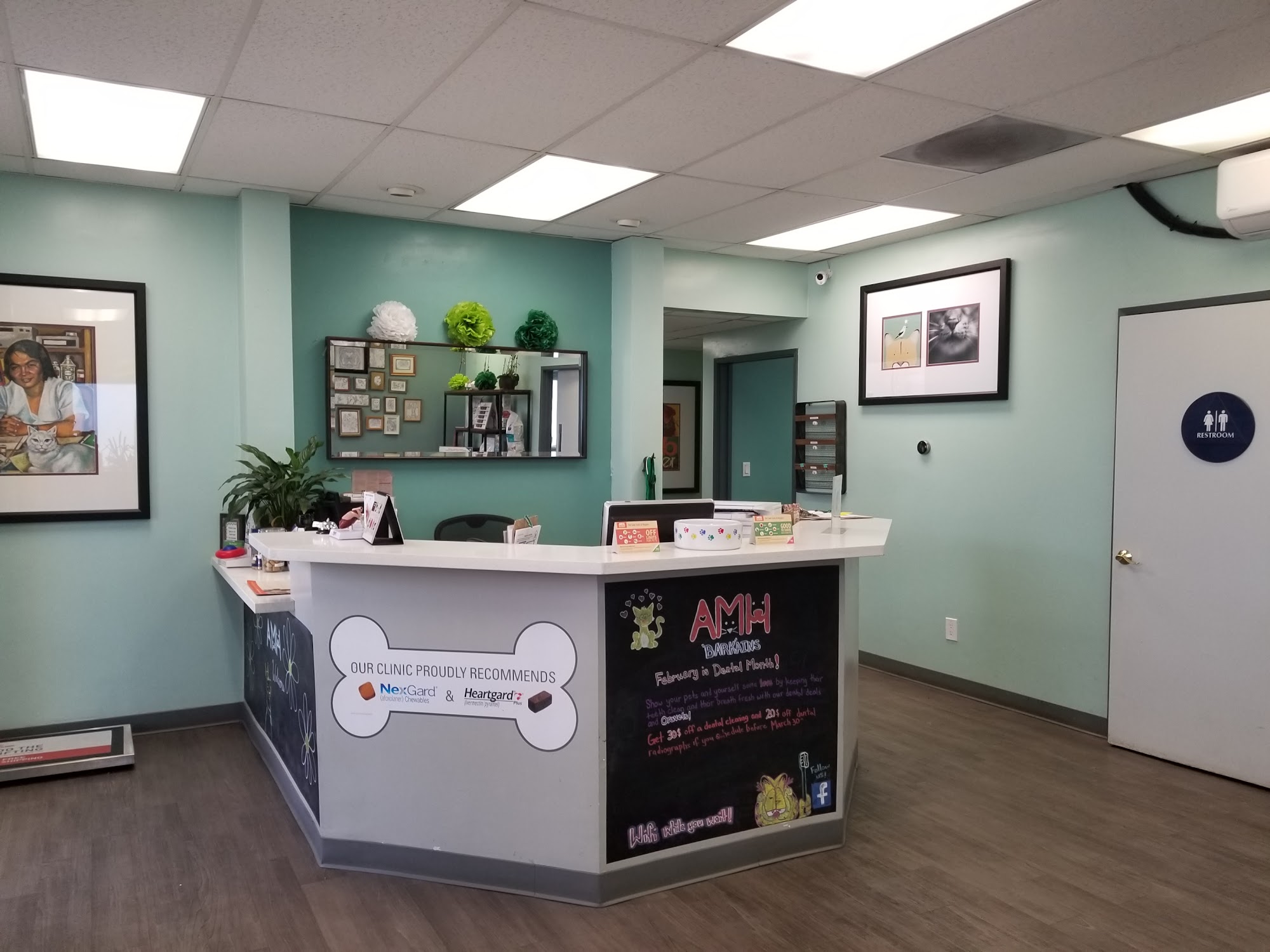 Animal Medical Hospital Pasadena