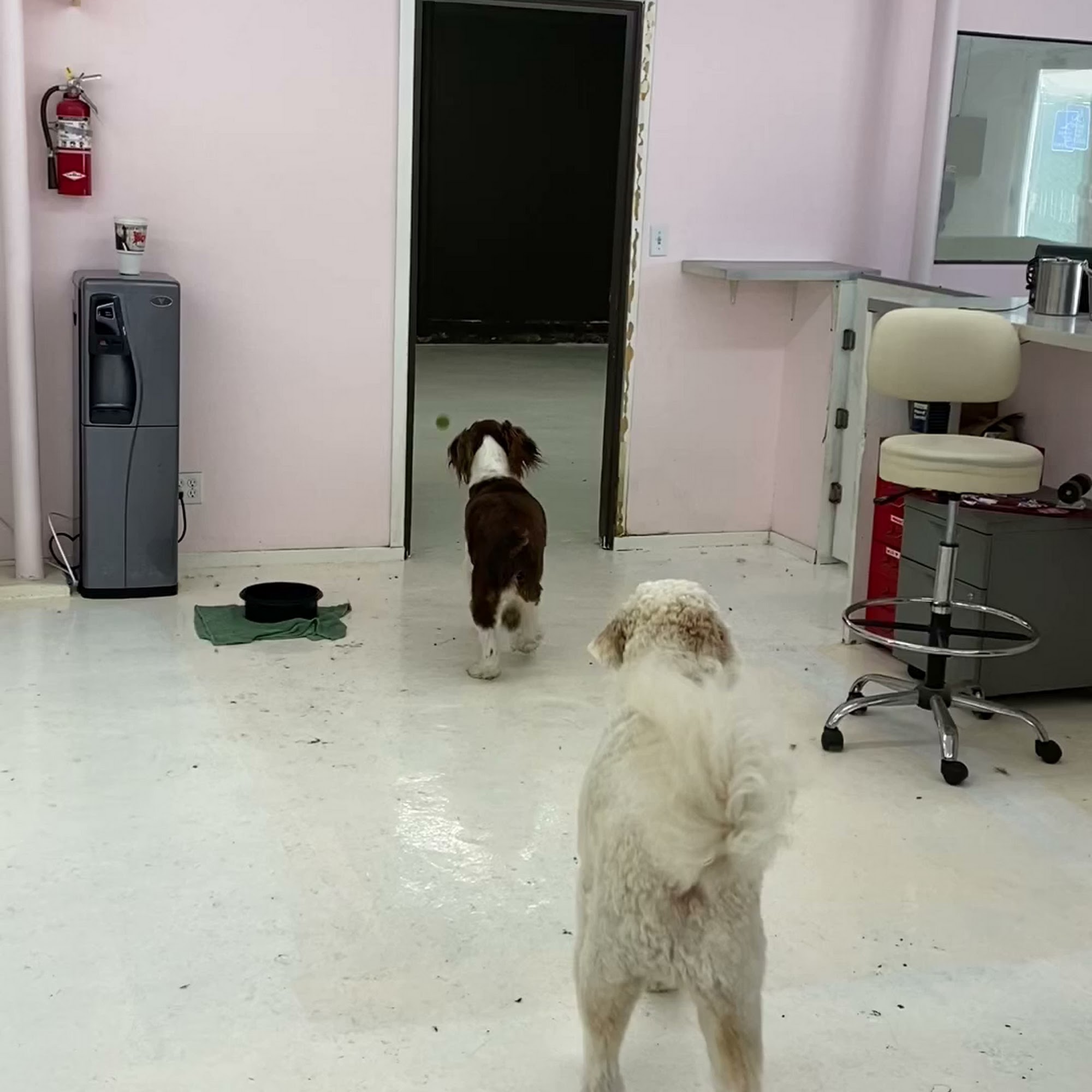 Pasadena Pet Pasadena