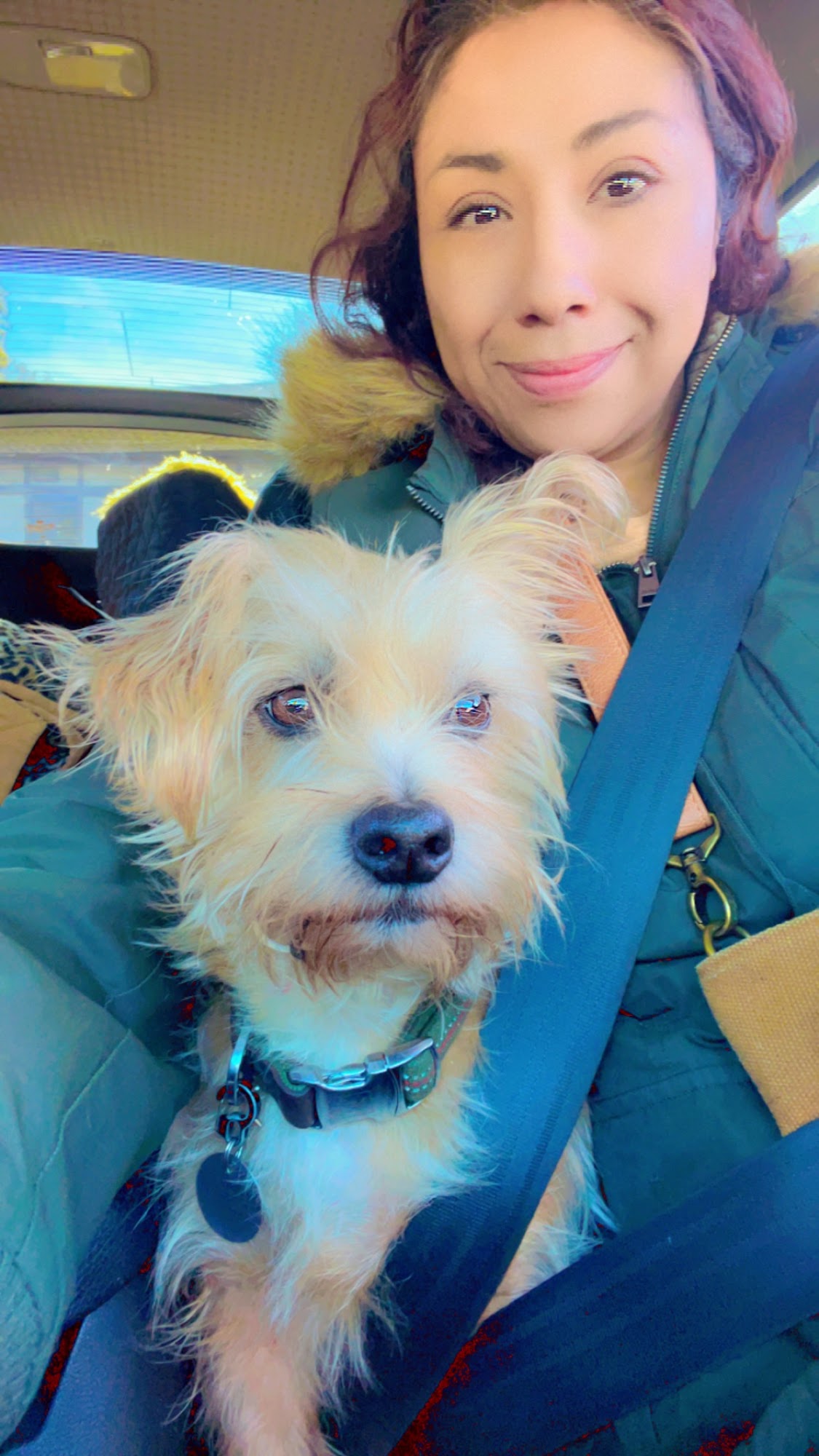 Waggin' Tails Dog Walking Pasadena Pasadena