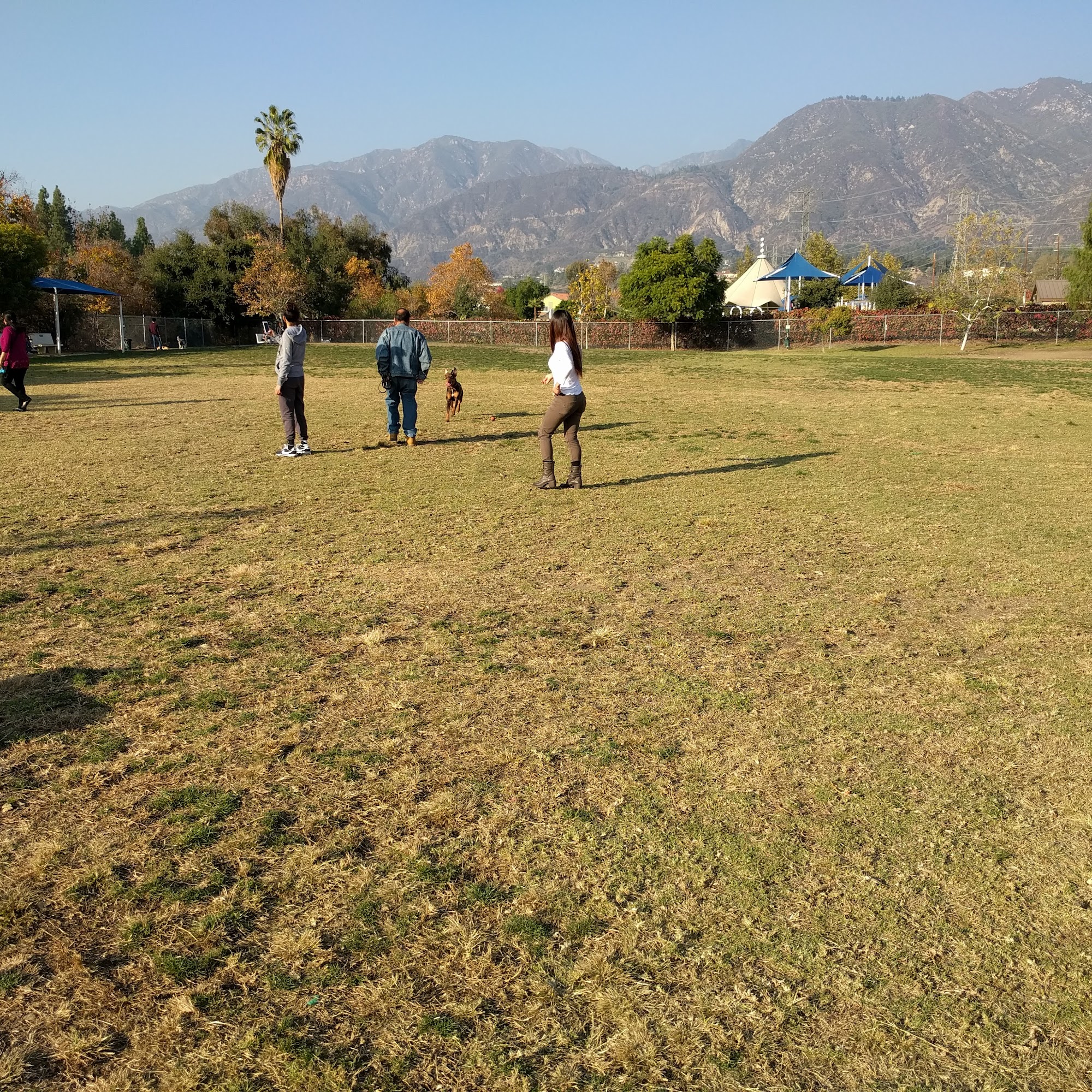 Alice's Dog Park Pasadena