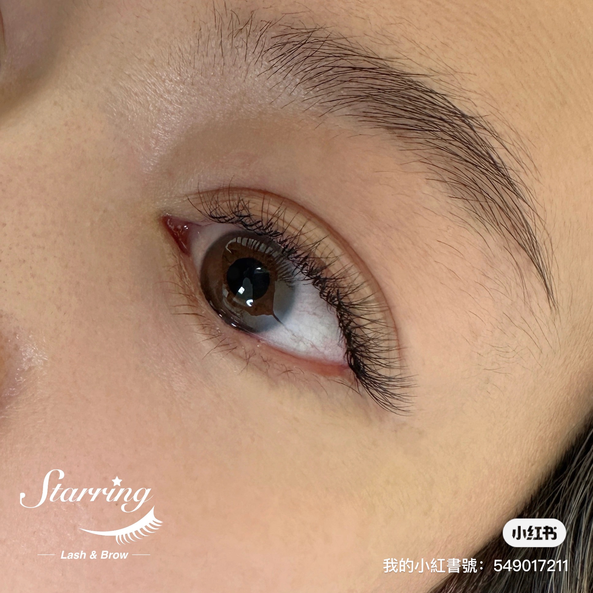 Starring Lash & Brow