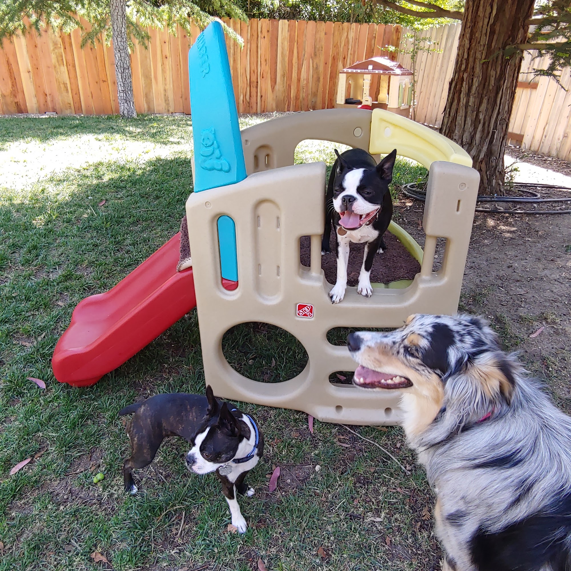 Pet Nanny Paso Paso Robles