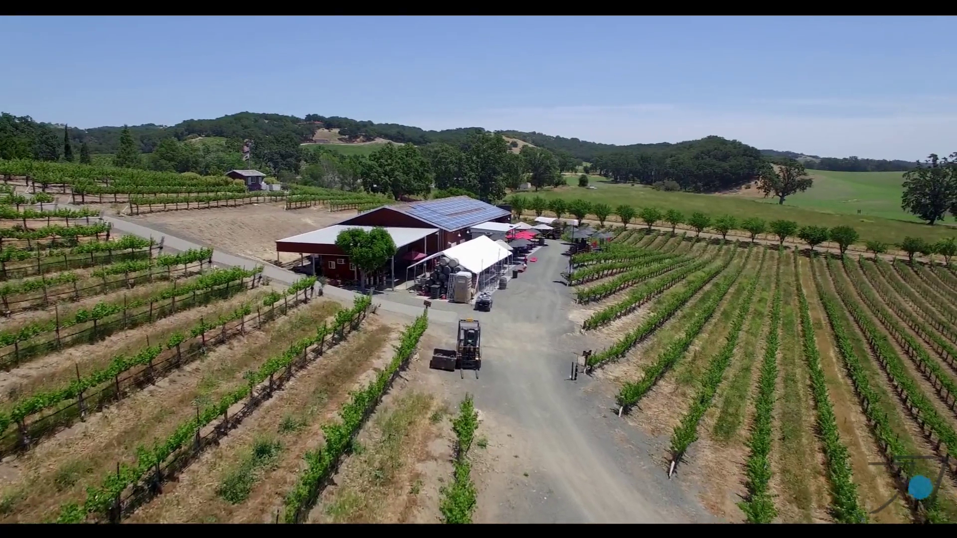 Oso Libre Winery Menu