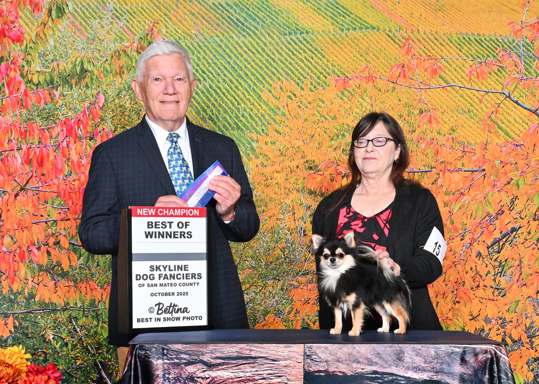 Joelle's Chihuahuas Paso Robles