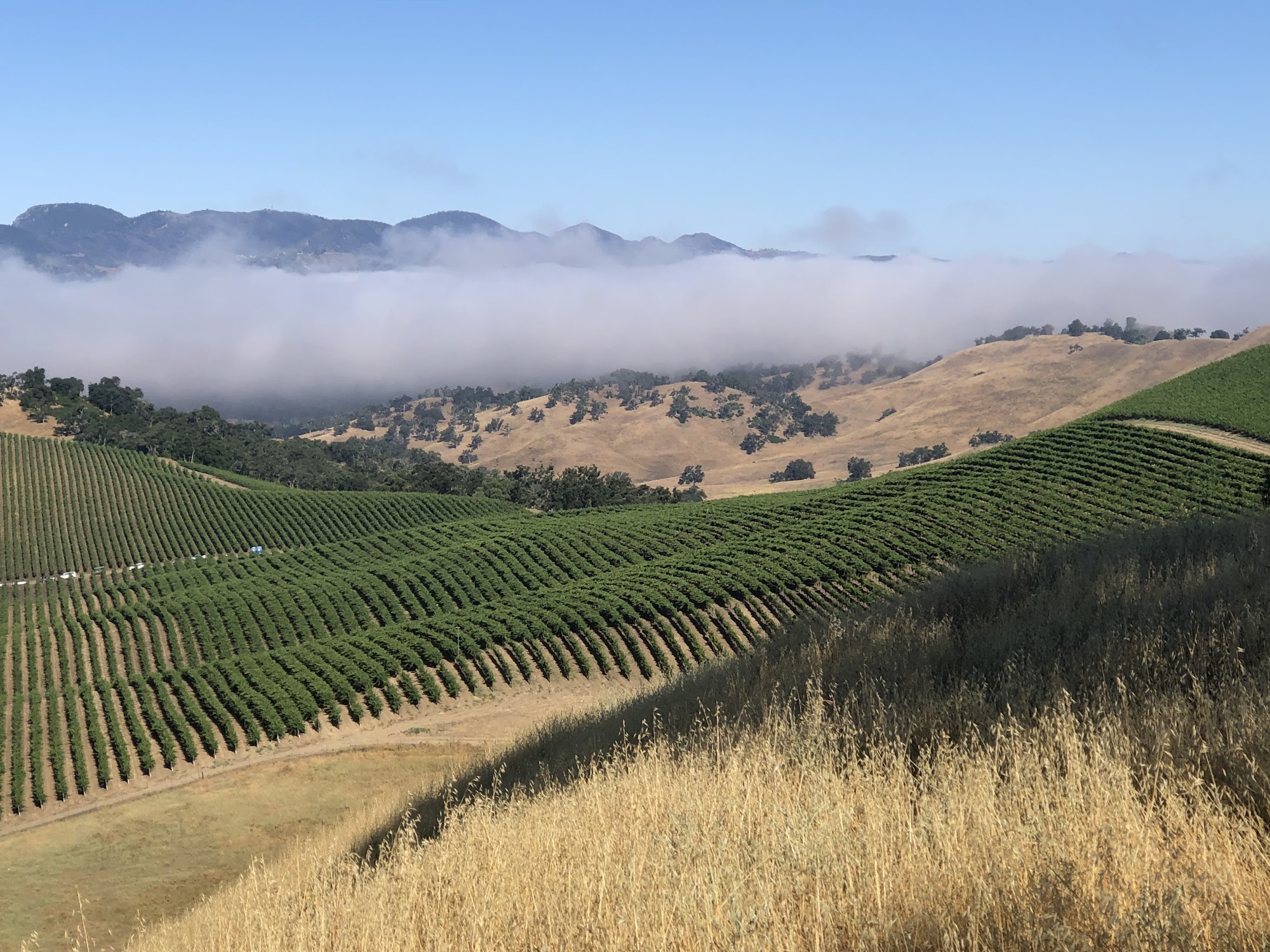 The Farm Winery Paso Robles