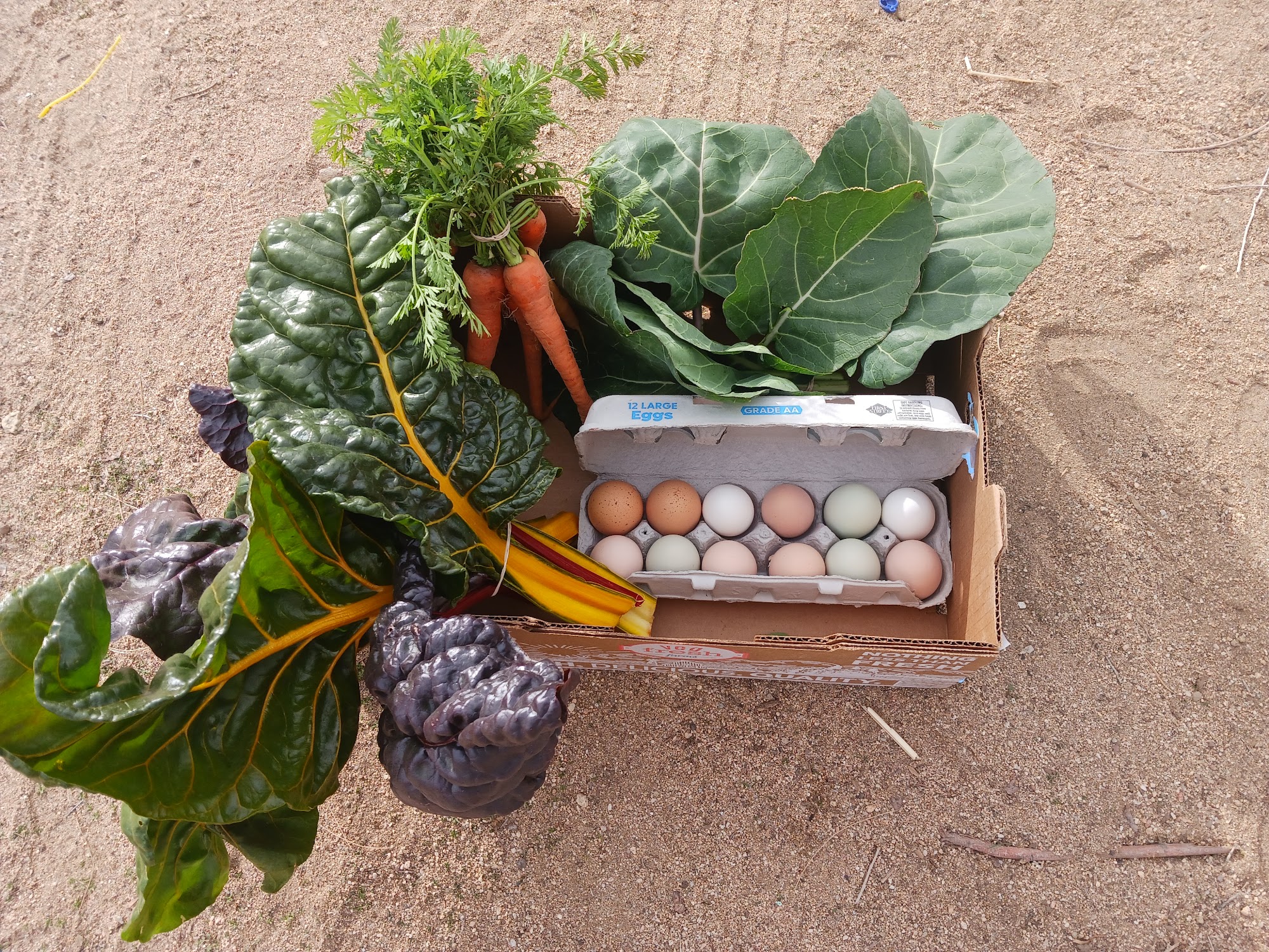 Sound Guild Farm Pearblossom