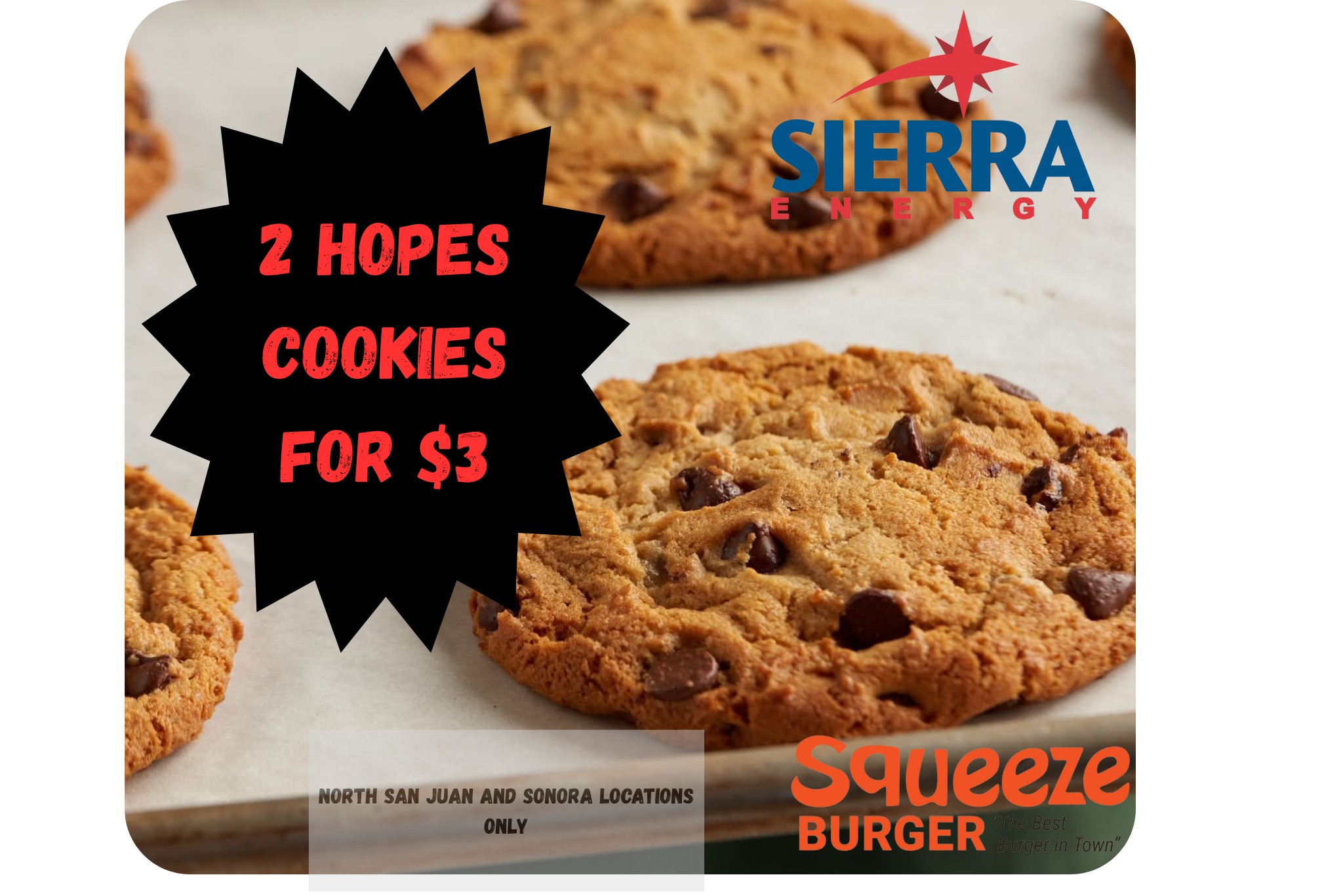 Burger-Bulawa Debra K