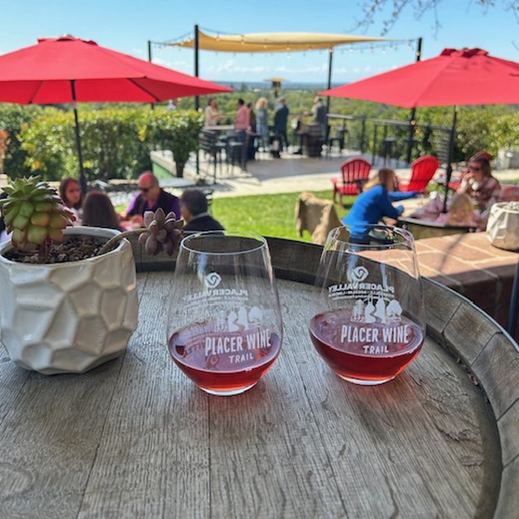 Happy Dayz Vineyard Penryn