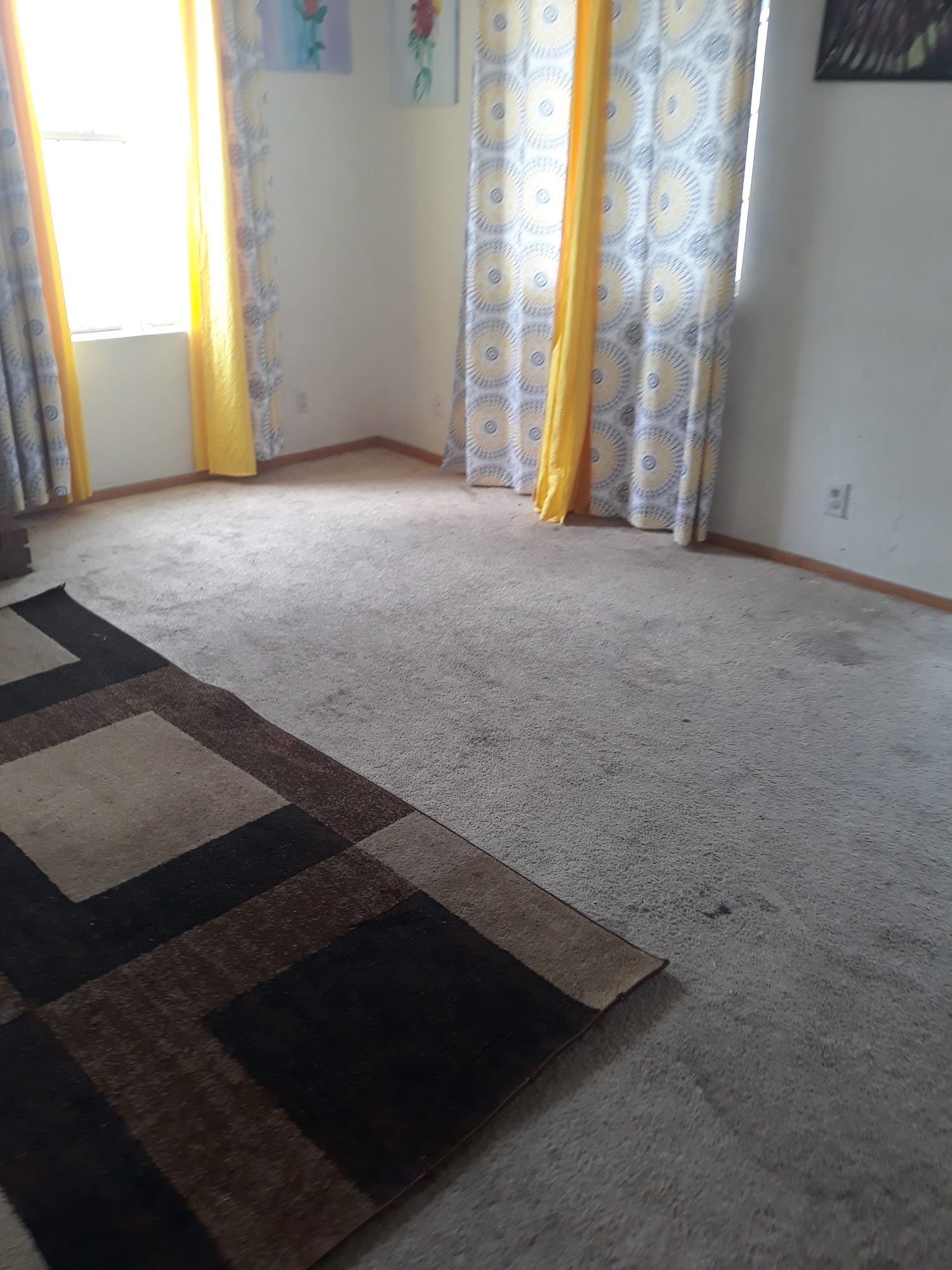 Golden Carpet and Floor Care