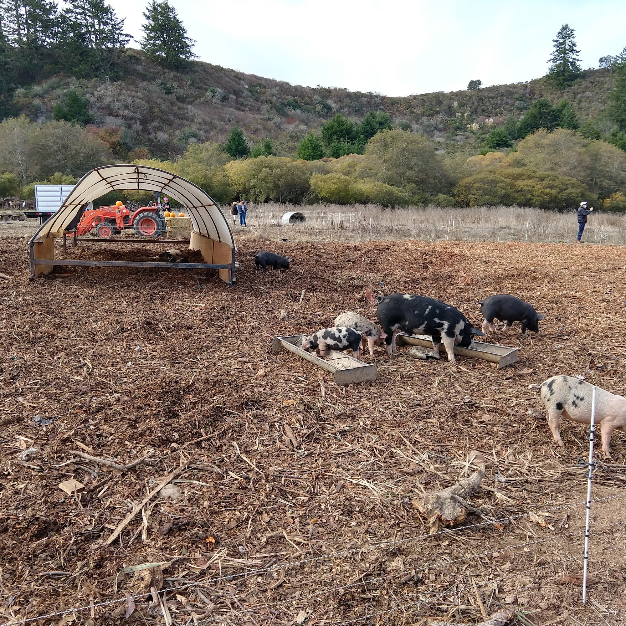 Root Down Farm Pescadero