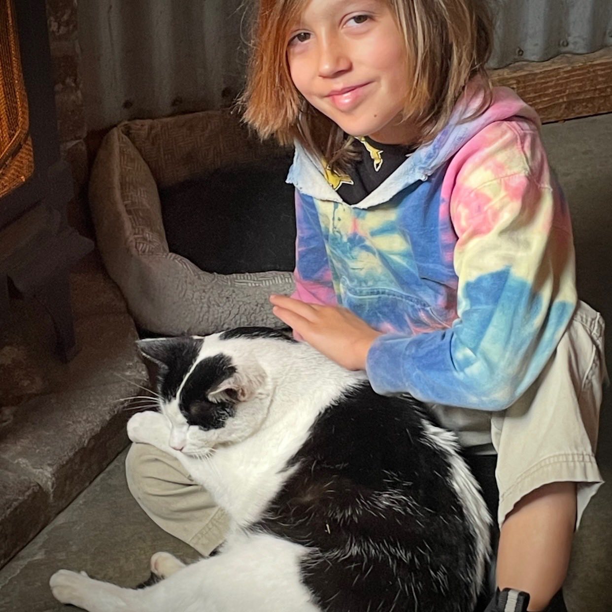 Ernie's Tin Bar Petaluma