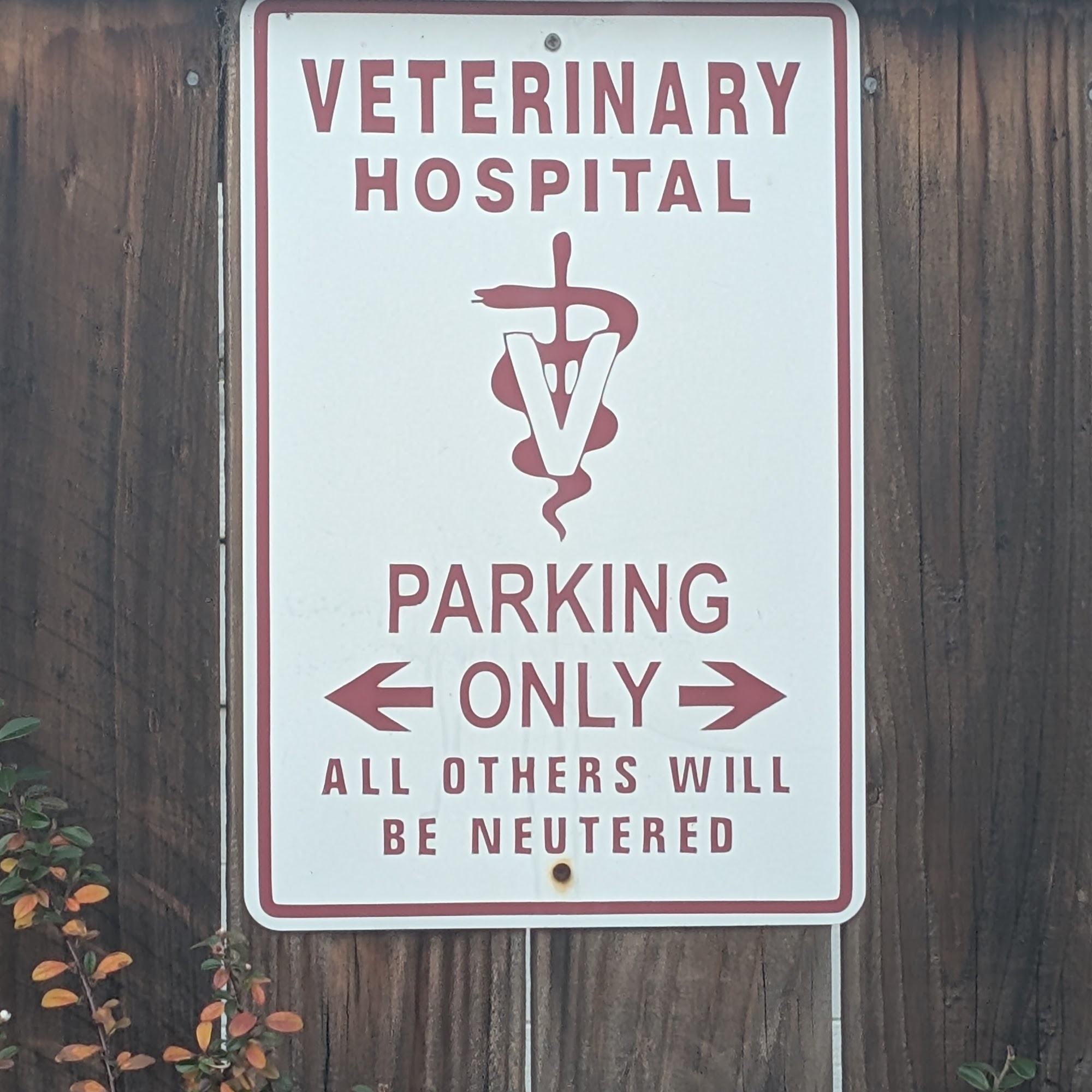 Adobe Animal Hospital Petaluma