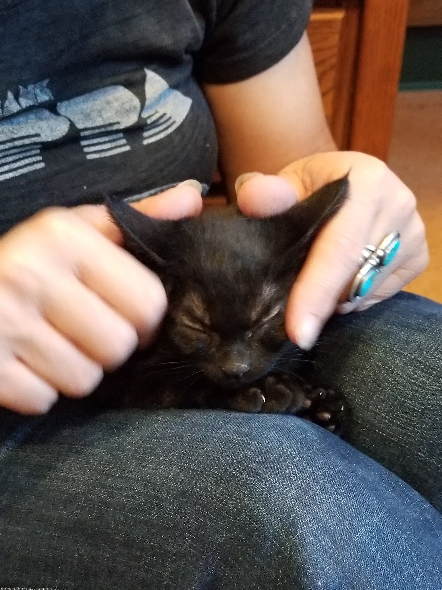 Petaluma Animal Services Petaluma