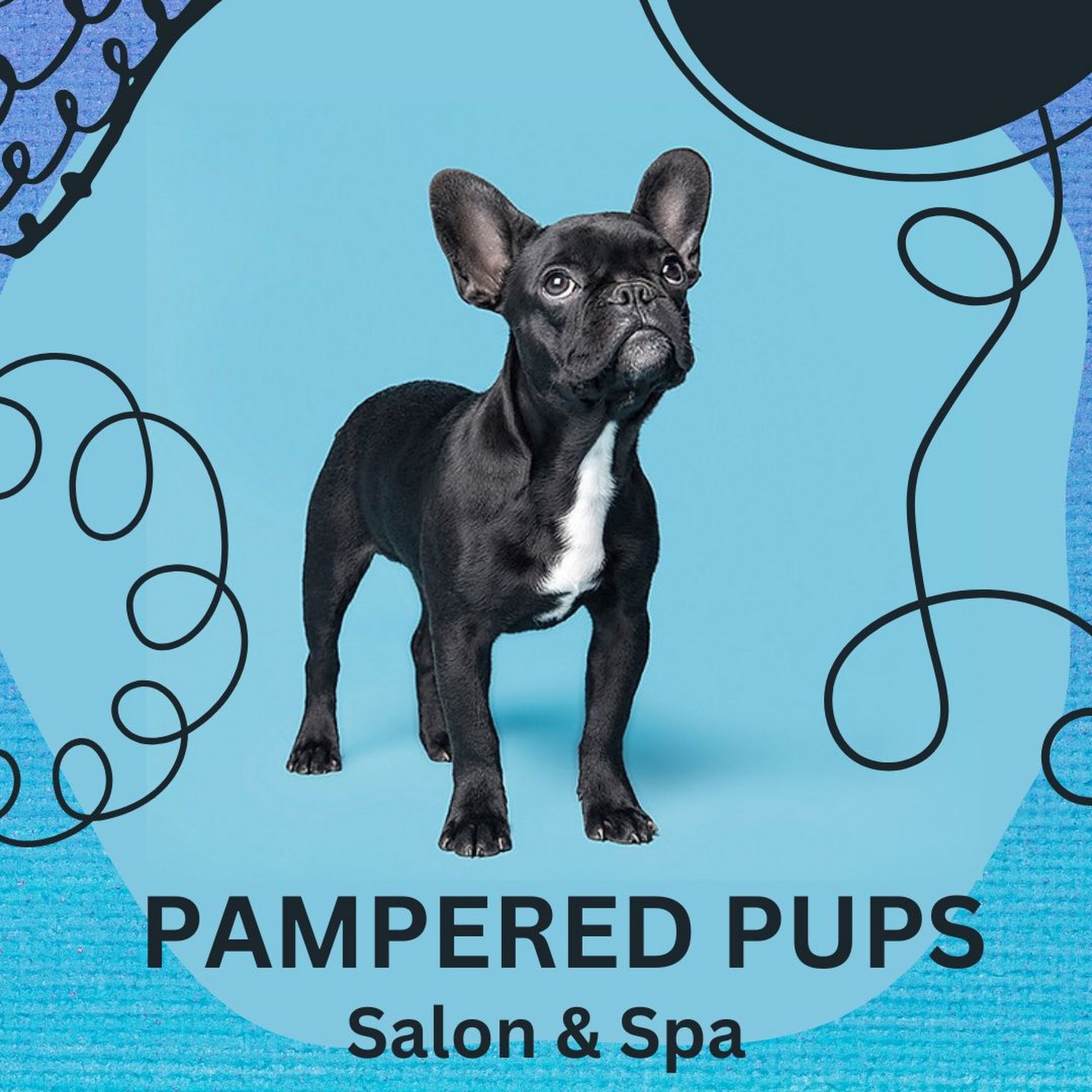 Pampered Pups Salon and Spa Petaluma