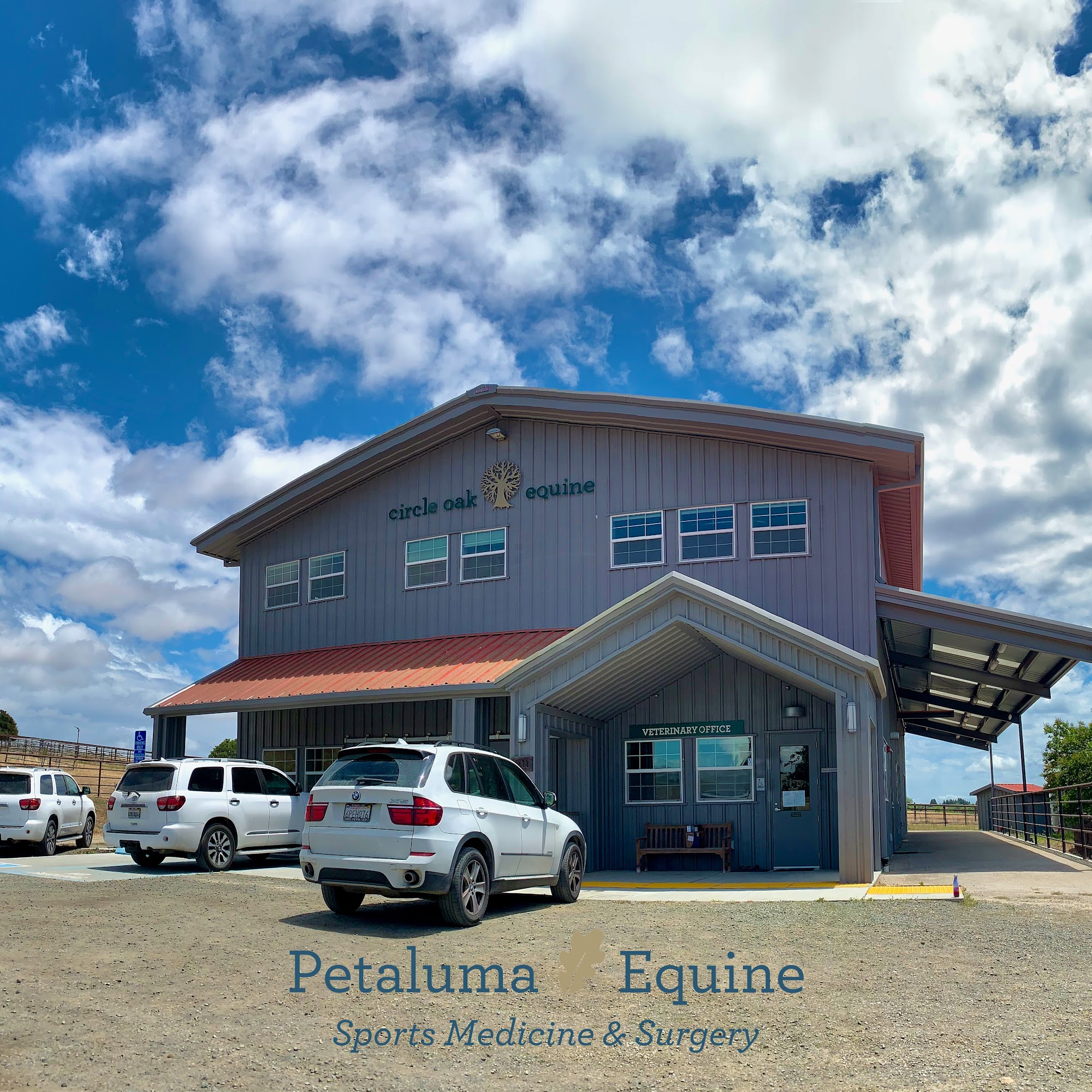 Petaluma Equine Petaluma