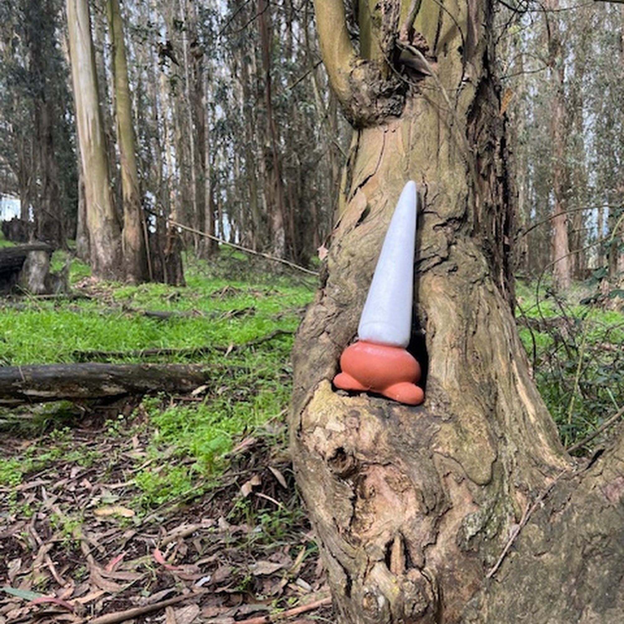 Farm Yes No (Weddings, MTB, Gnomes) Petaluma