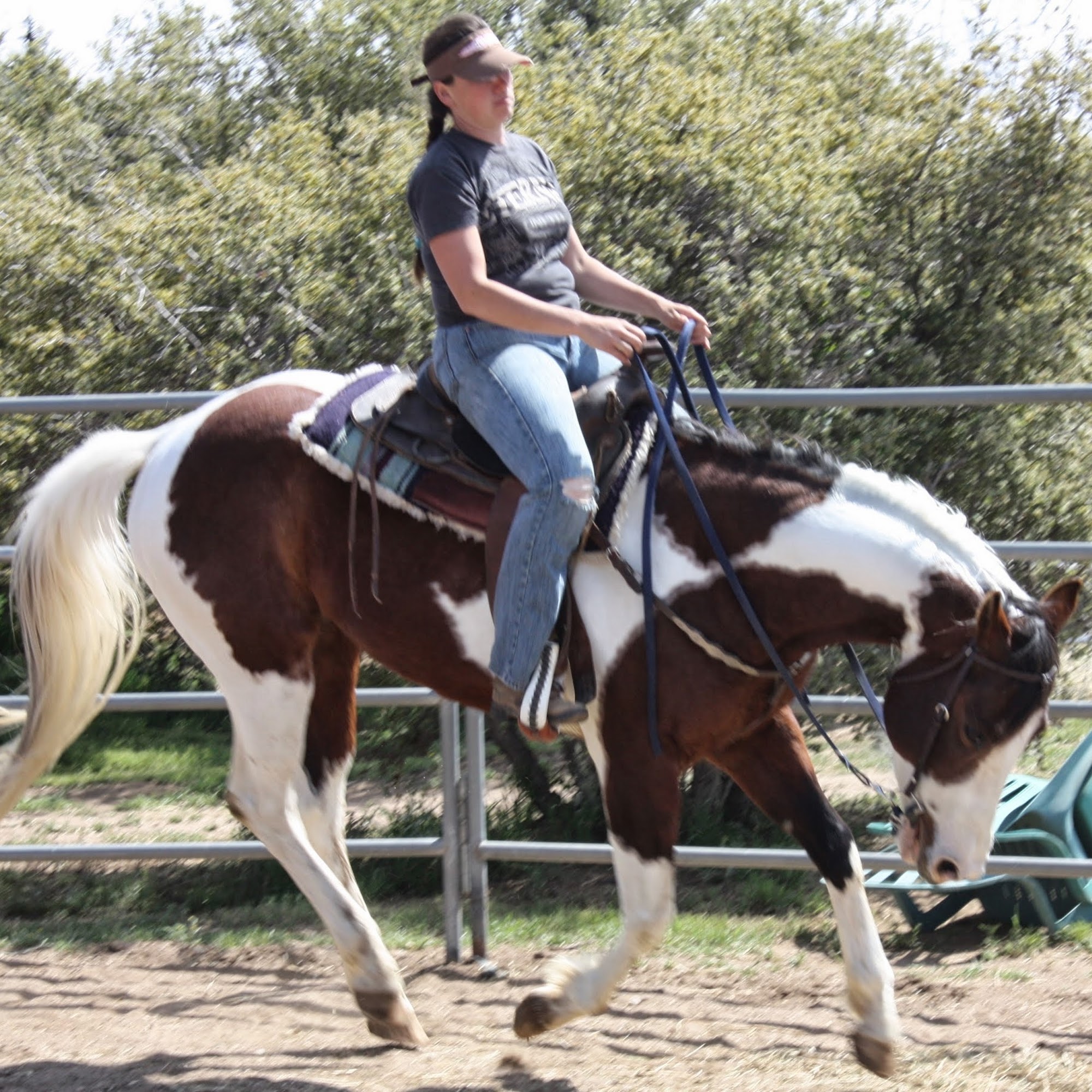 Blue Mountain Farms Phelan