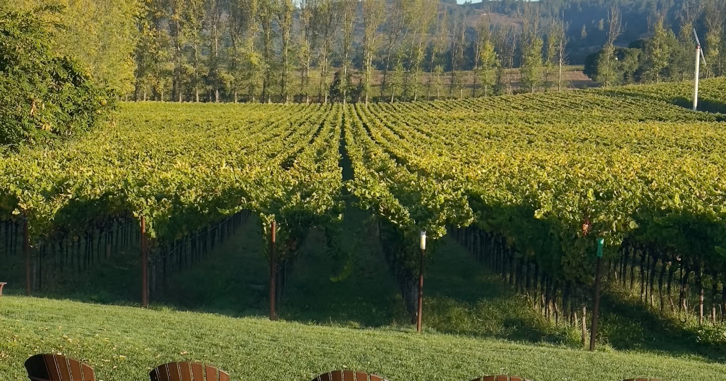 Navarro Vineyards & Winery Philo