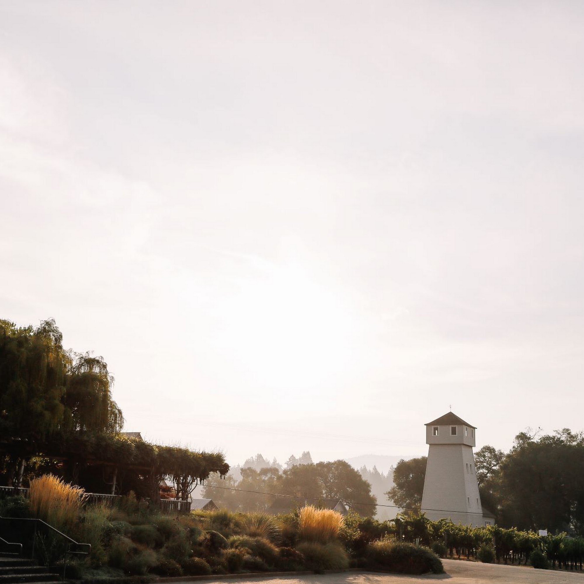 Handley Cellars Philo