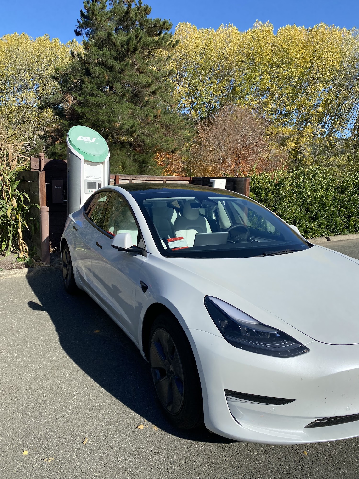 Greenwood Ridge Vineyards Philo