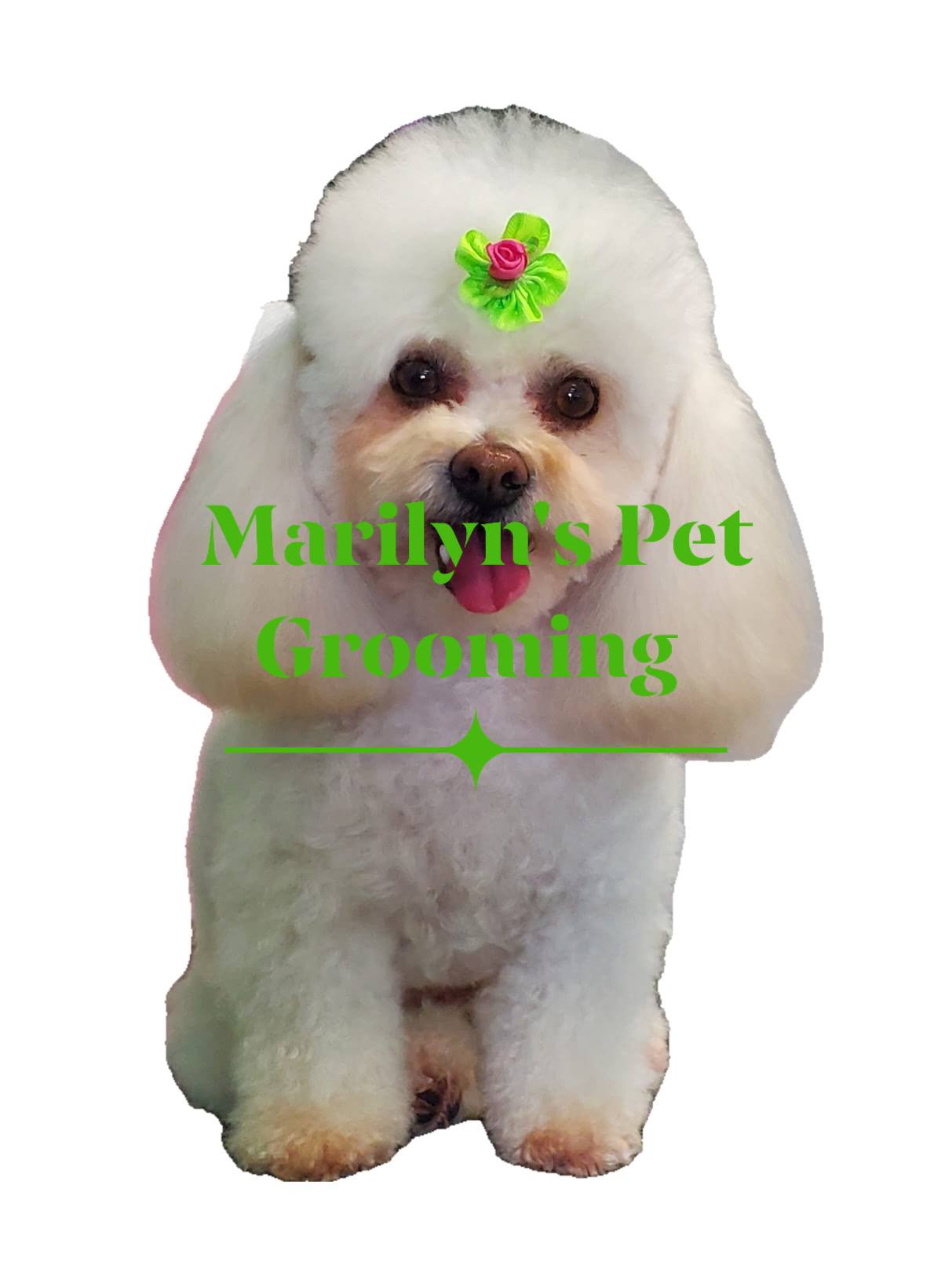 Marilyn's Pet Grooming & Supply Pico Rivera