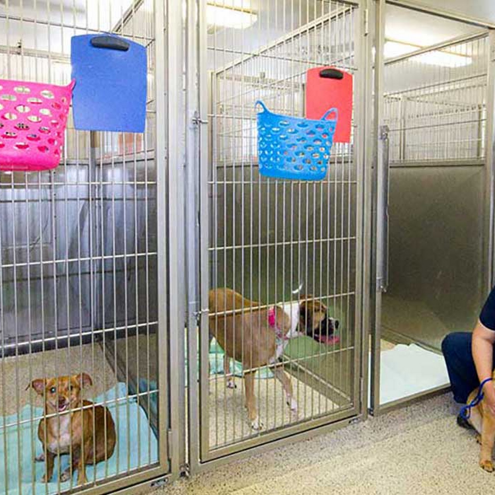 Pine Grove Veterinary Clinic Pine Grove