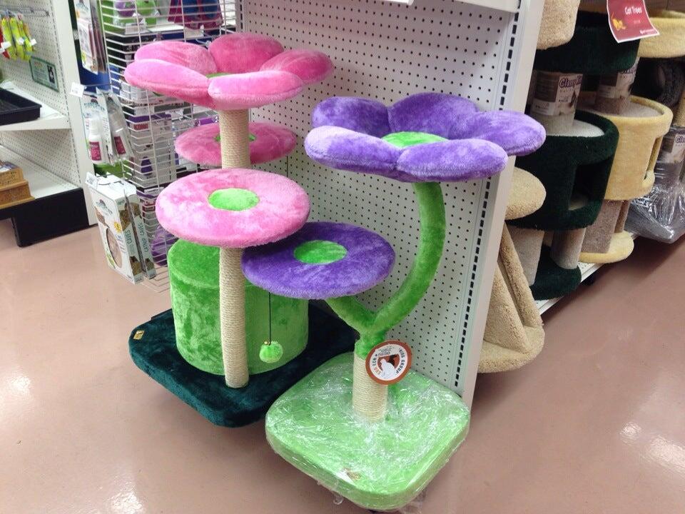 Pet Food Express Pinole