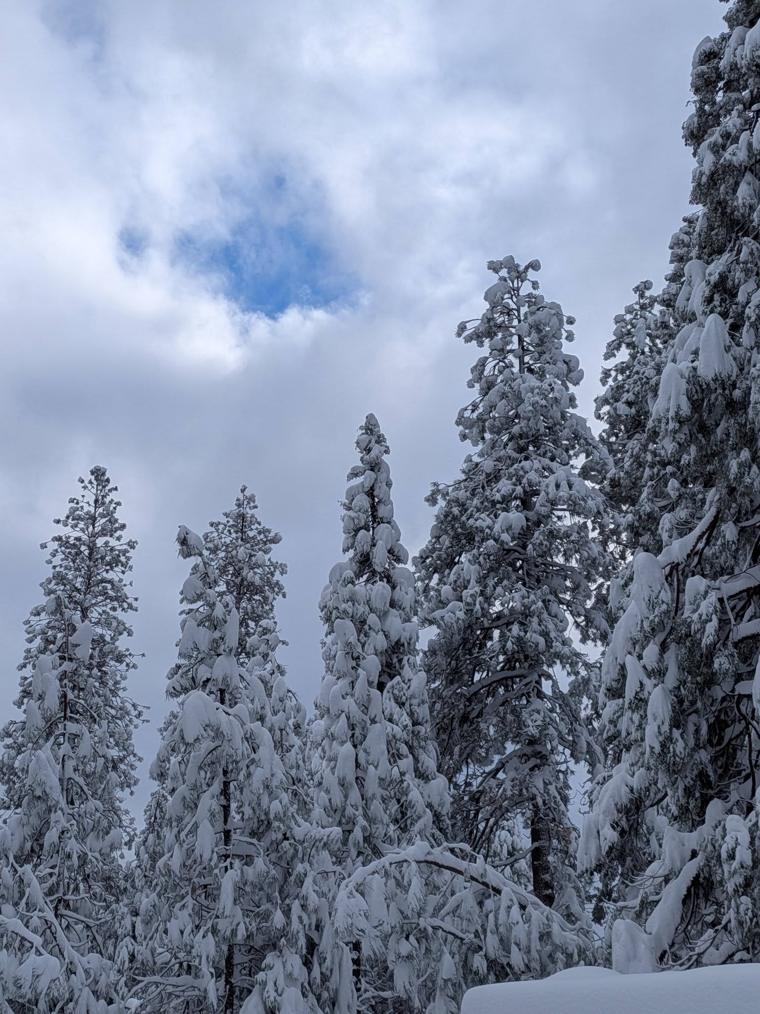 Gibson's Roadhouse Cafe Pioneer