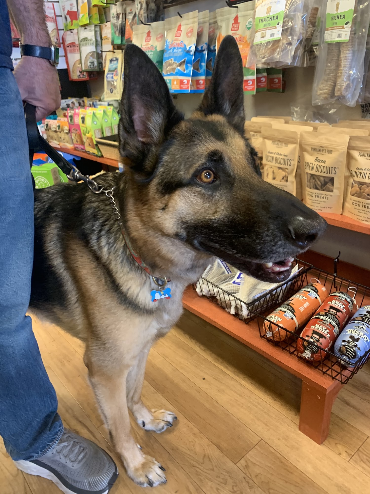 Maddie Mae's Pet Pantry Pismo Beach